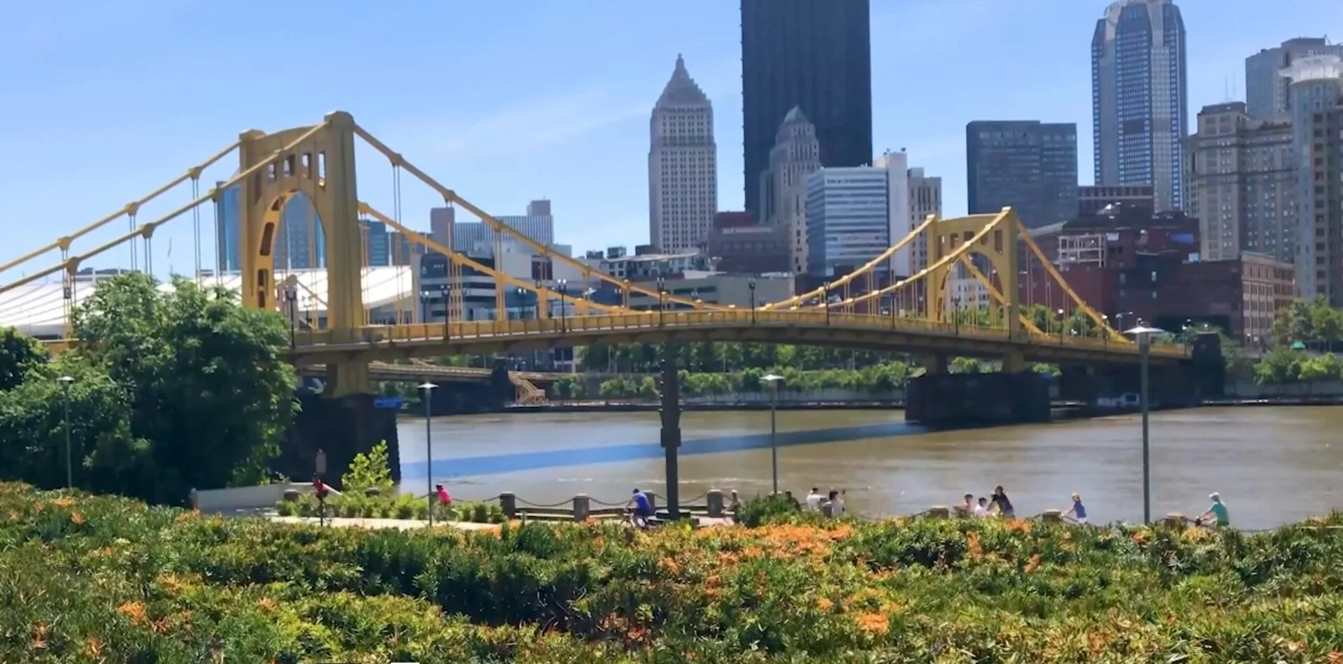 mobile background video still image.jpg