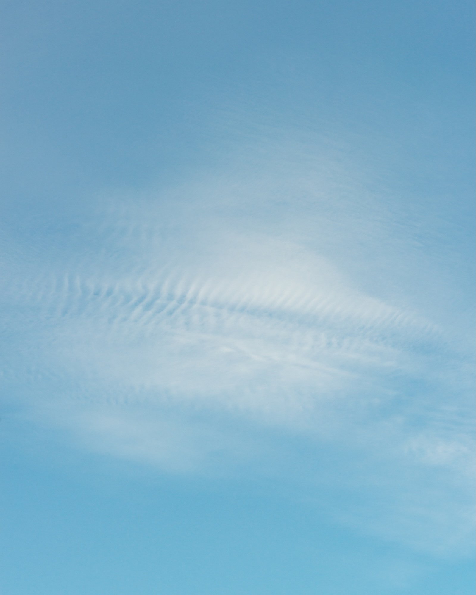_DSC8655.jpg