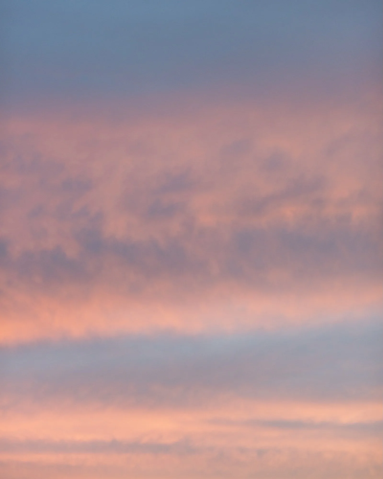 _DSC8390.jpg