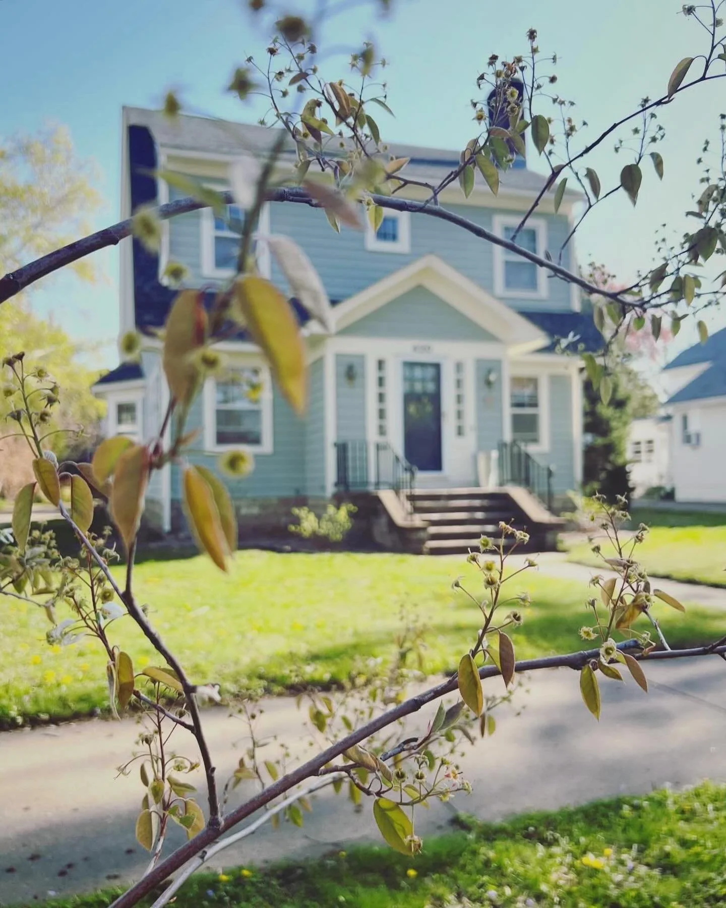 A blue house with white trim, steps leading to the front door, and a well-maintained lawn, seen through a flowering tree branch.