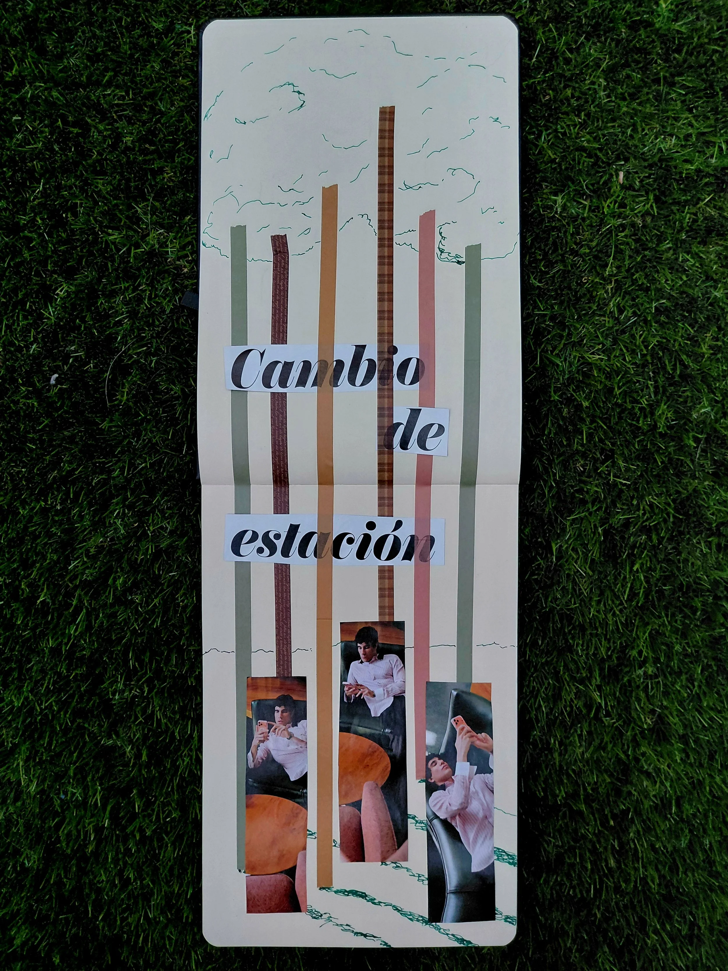 Cambio de colección