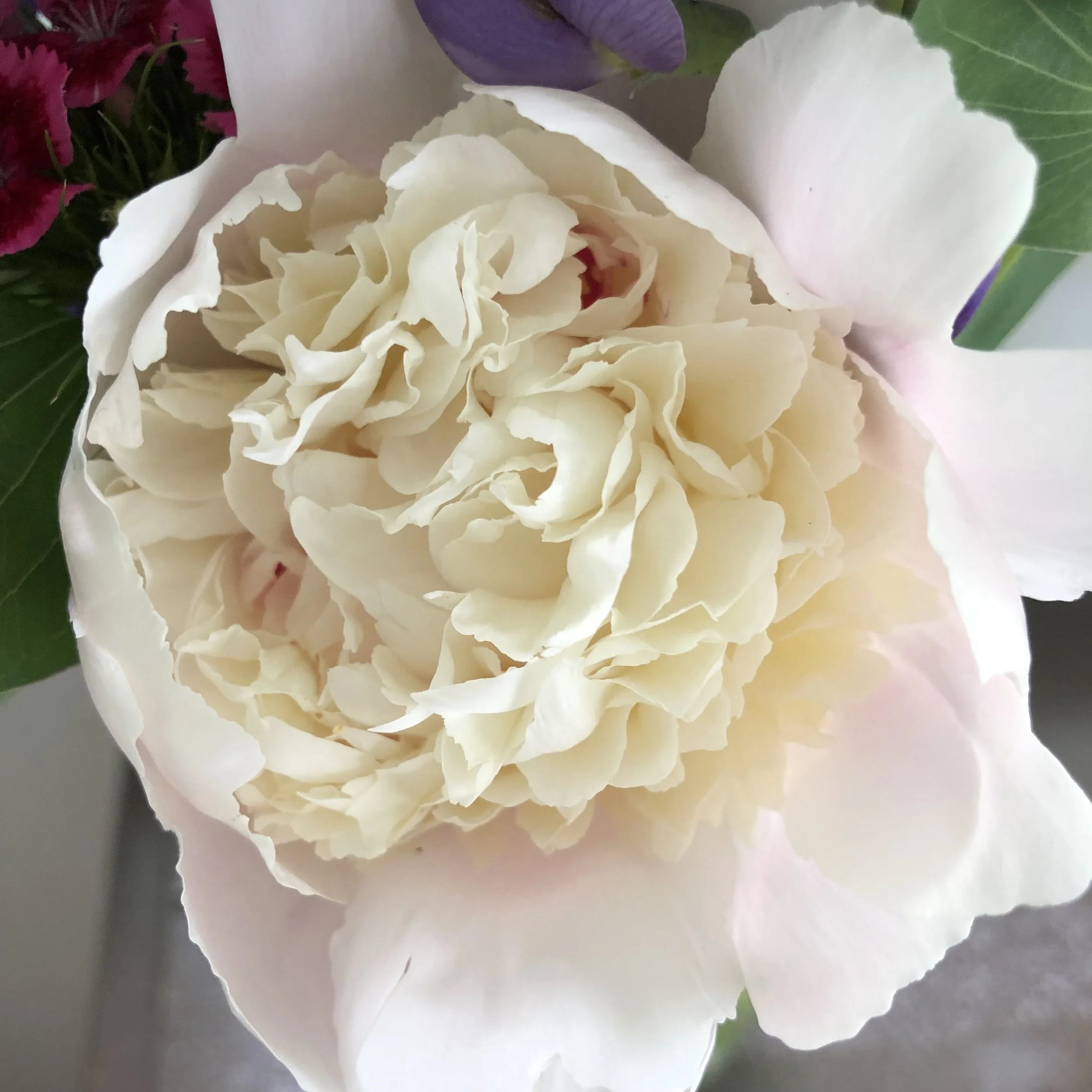 Misty Meadows Flower Farm Local Flowers Floral Arrangements in