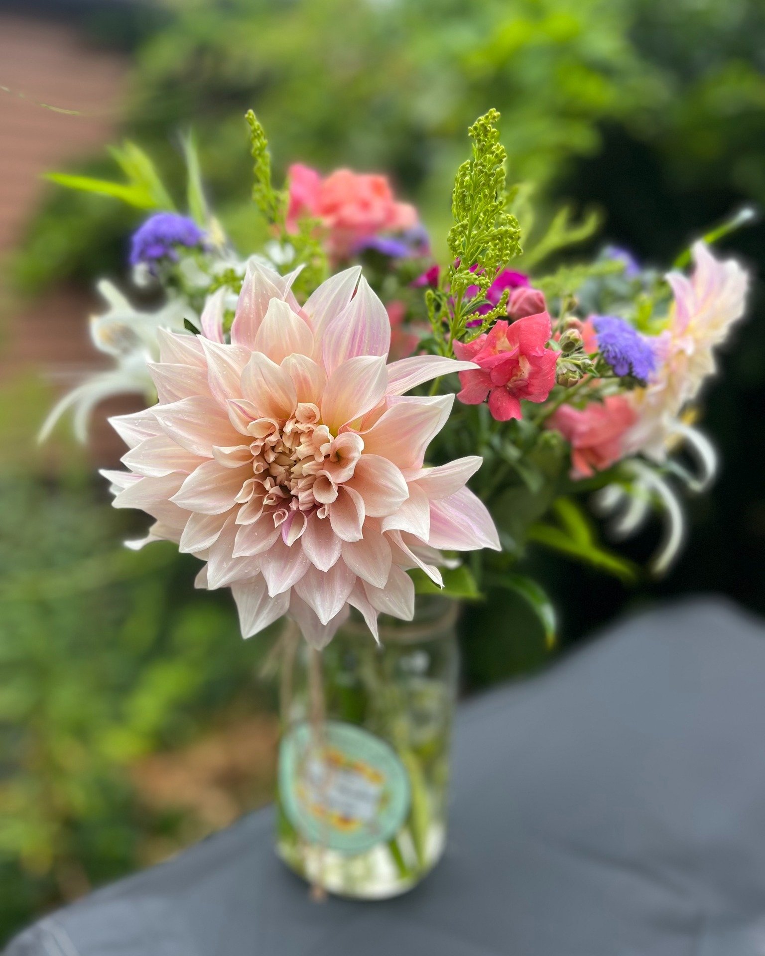 When one of your oldest friends surprises you by saying she is in town to move her daughter into SUNY Oneonta, you drop what you are doing, cut some flowers, and zip over to see them!! Congratulations Stephanie!! 🤩