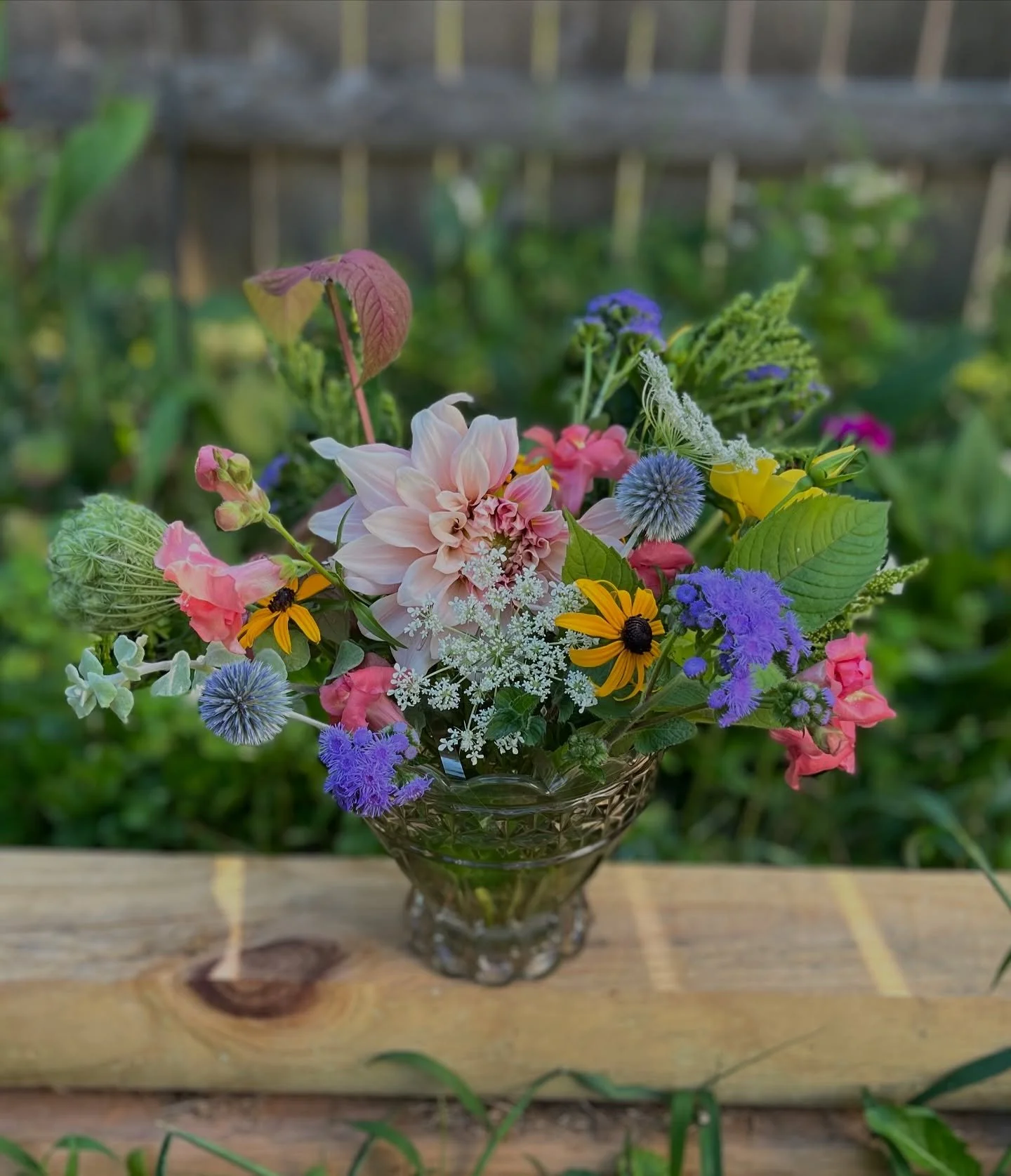 Scored an amazing piece of glassware at the Providence Goodwill this weekend and couldn&rsquo;t resist creating a little arrangement for the baseball rental house today!