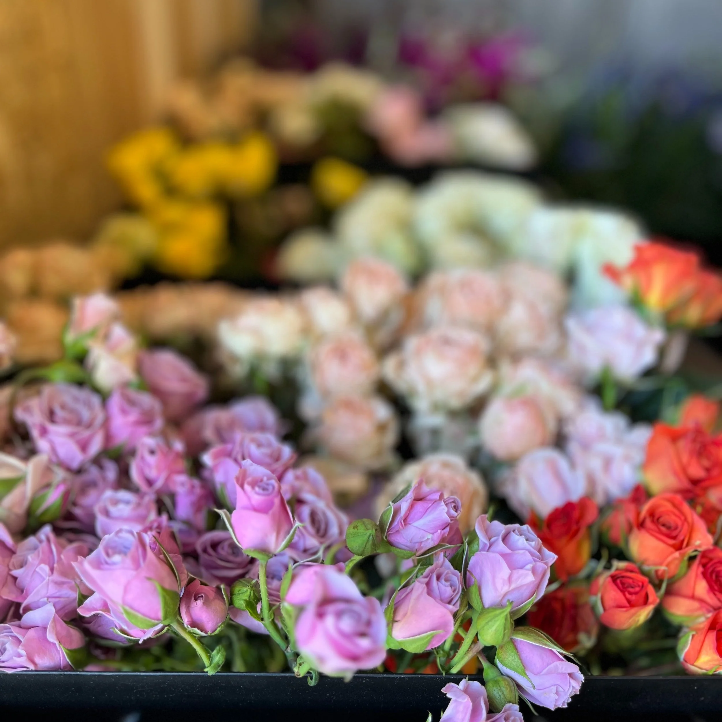 Today, from 10am to 2pm, North Star Farm is hosting Mother&rsquo;s Day at 595 Franklin Heights, Franklin, NY. Come see the new farmstand and flower studio! 

I will have premade, or you can customize your bouquet! Lots of botanical extras to choose f