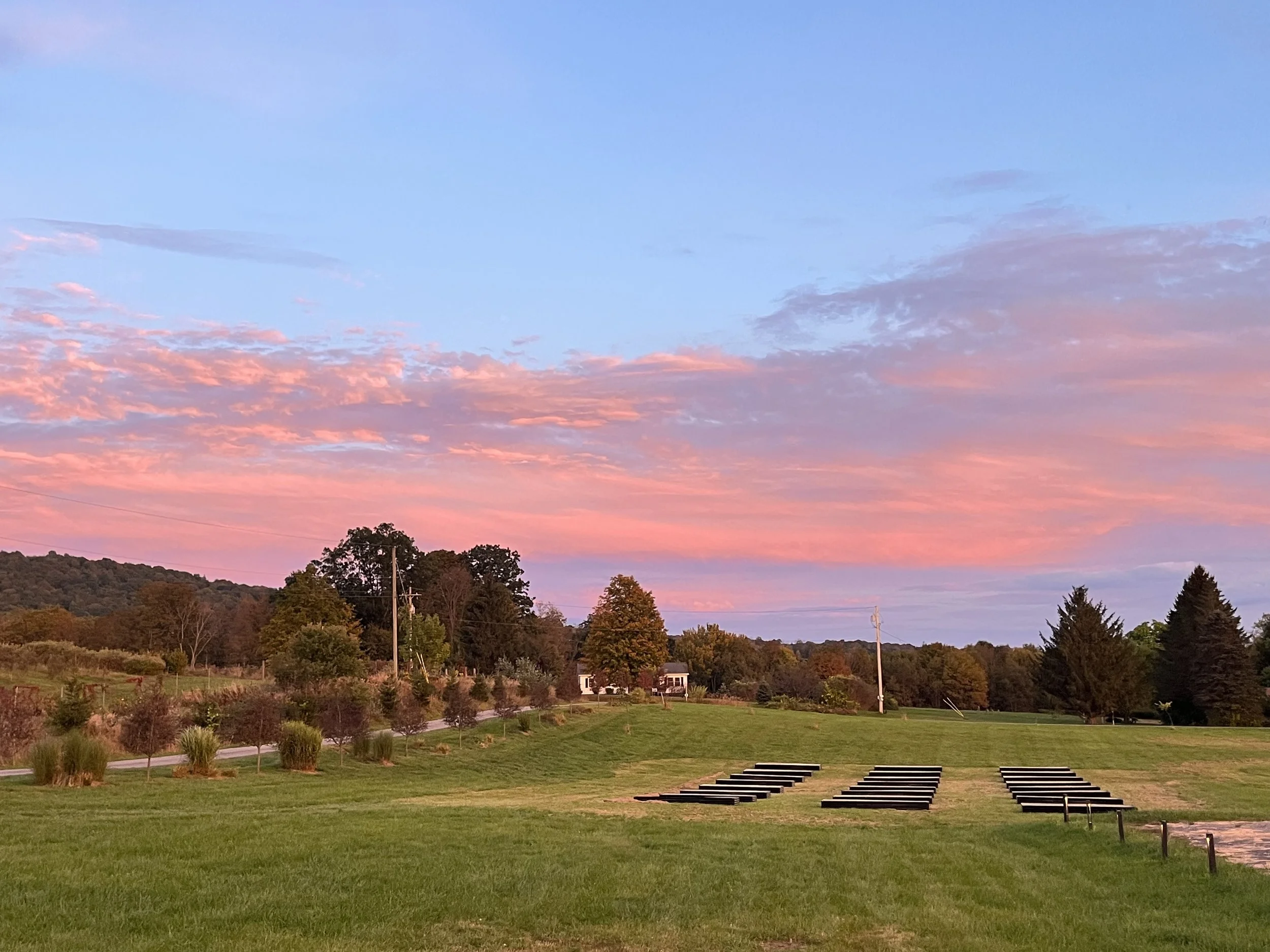 A scenic outdoor landscape with a large grassy field, trees, and a colorful sunset sky with pink clouds and blue sky.
