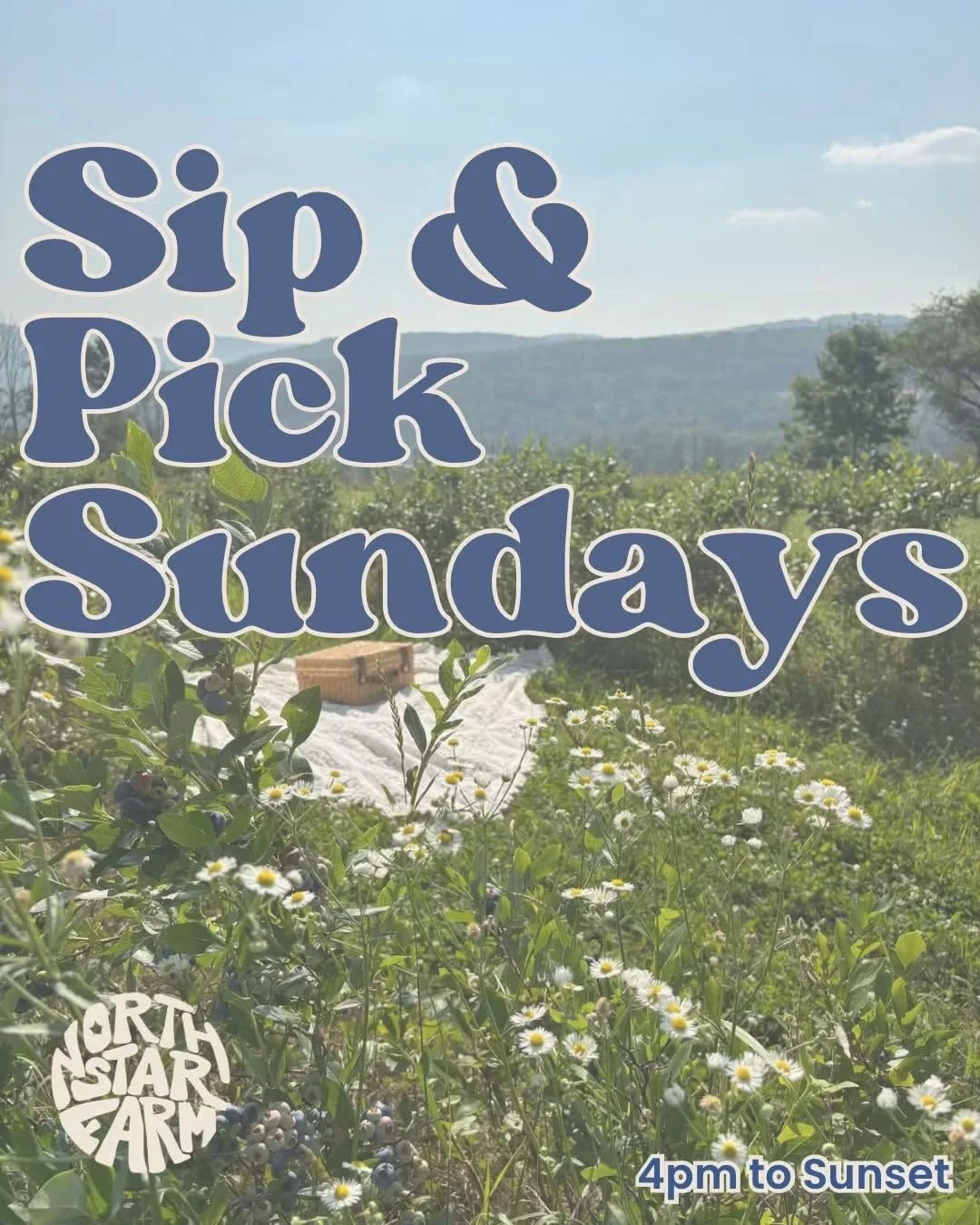 A scenic farm landscape with wildflowers, mountains, and a clear sky, featuring text that reads 'Sip & Pick Sundays, 4pm to Sunset' and the farm's logo, North Star Farm.