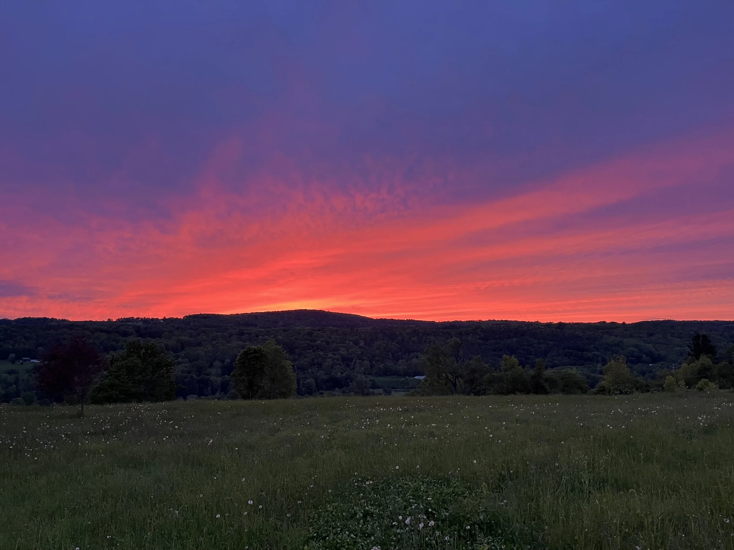 Colorful sunset over a green field with trees and rolling hills in the background.
