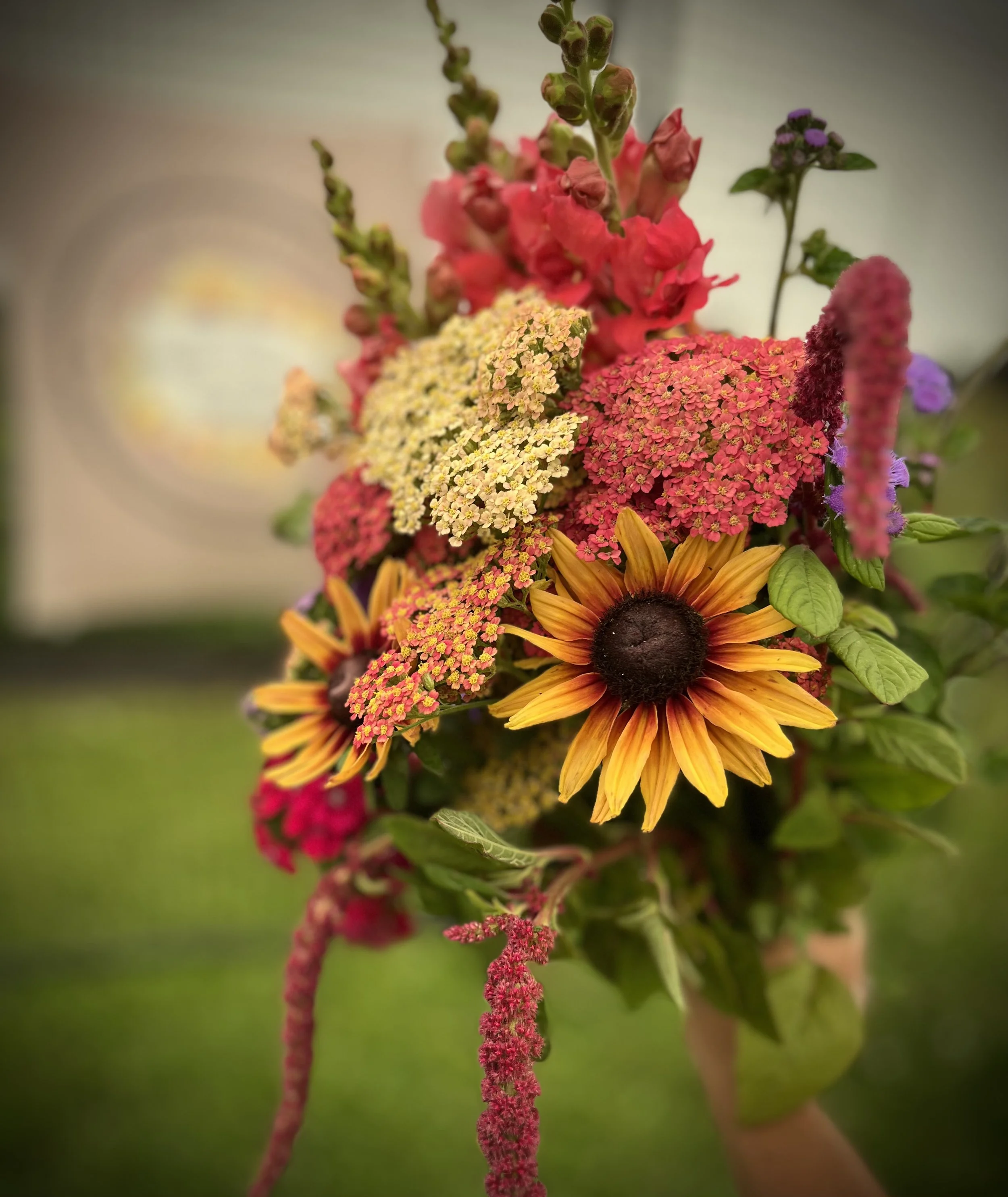U-Pick Flowers