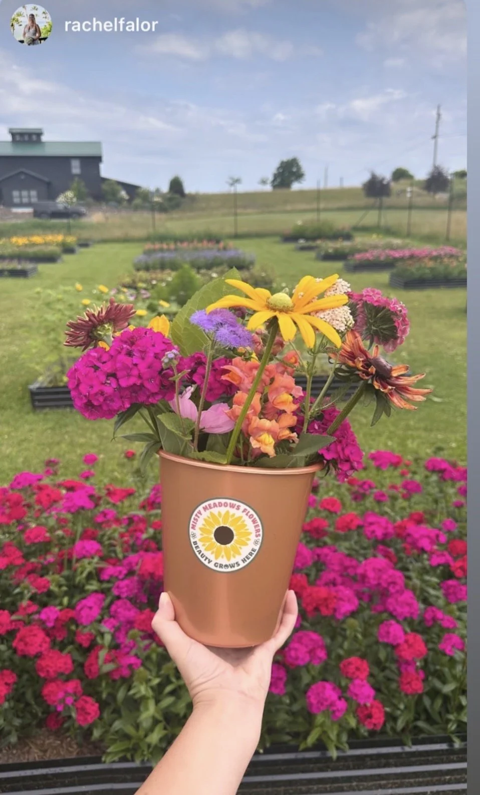 U-Pick Flowers
