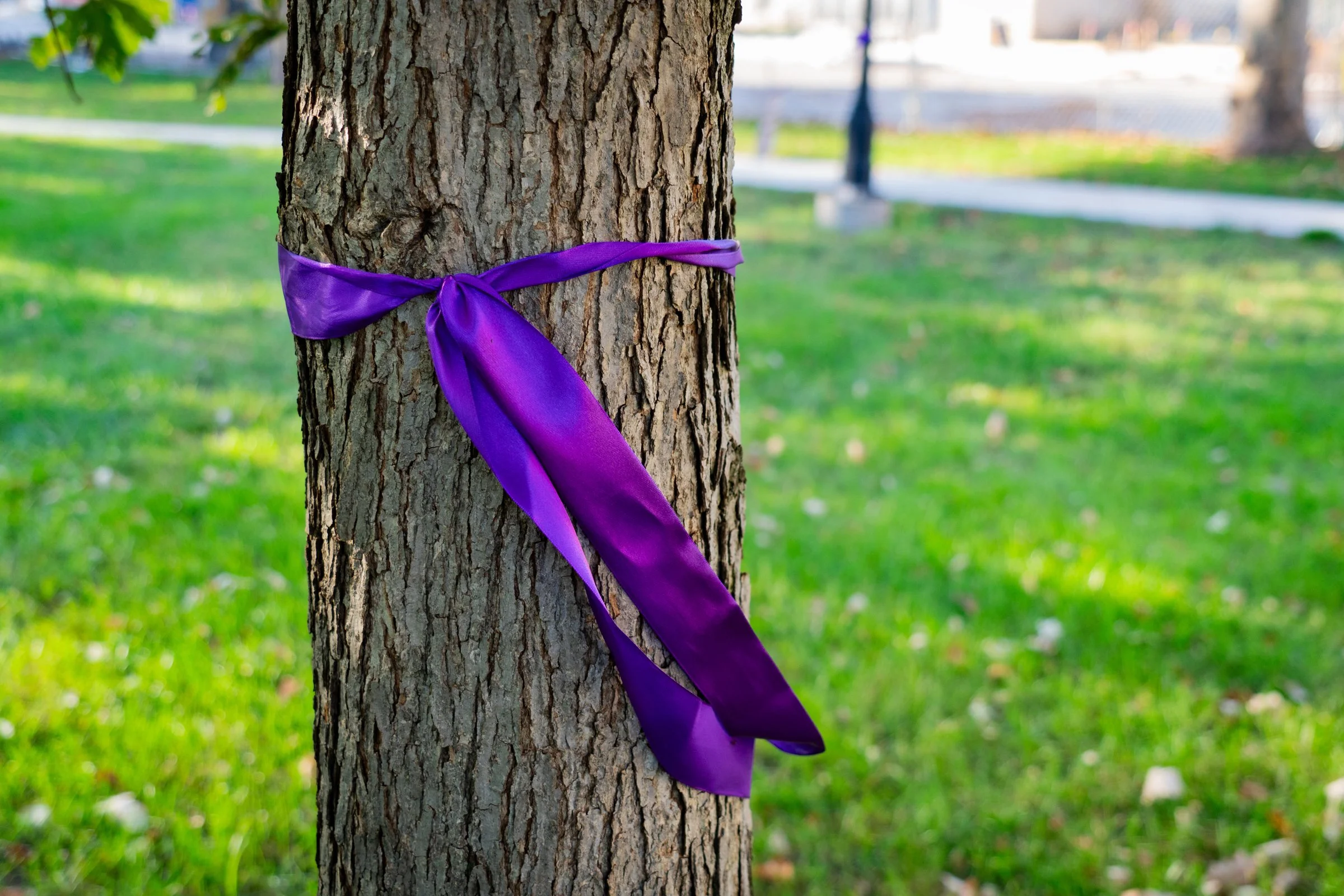 c16.jpg