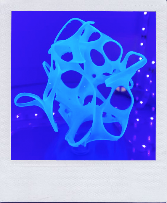polaroid 4.png