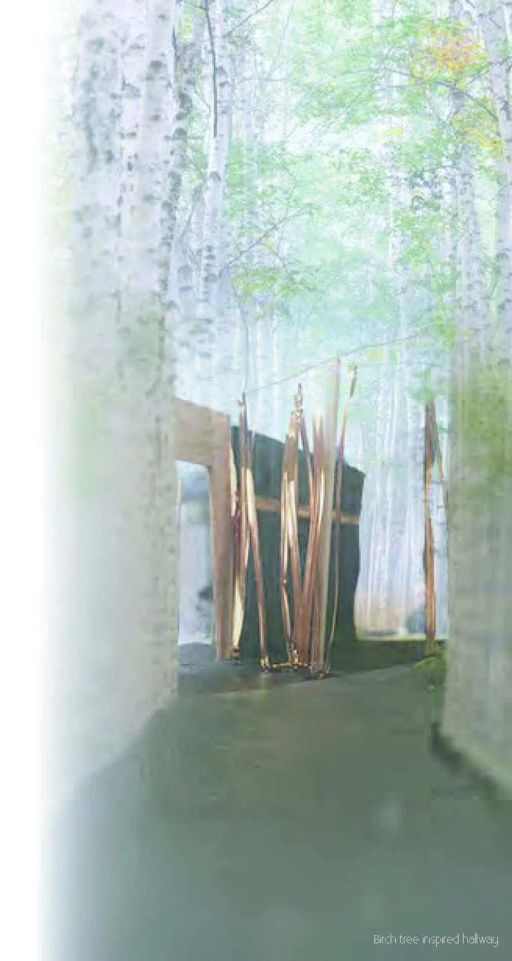 BirchTreeInspo.jpg
