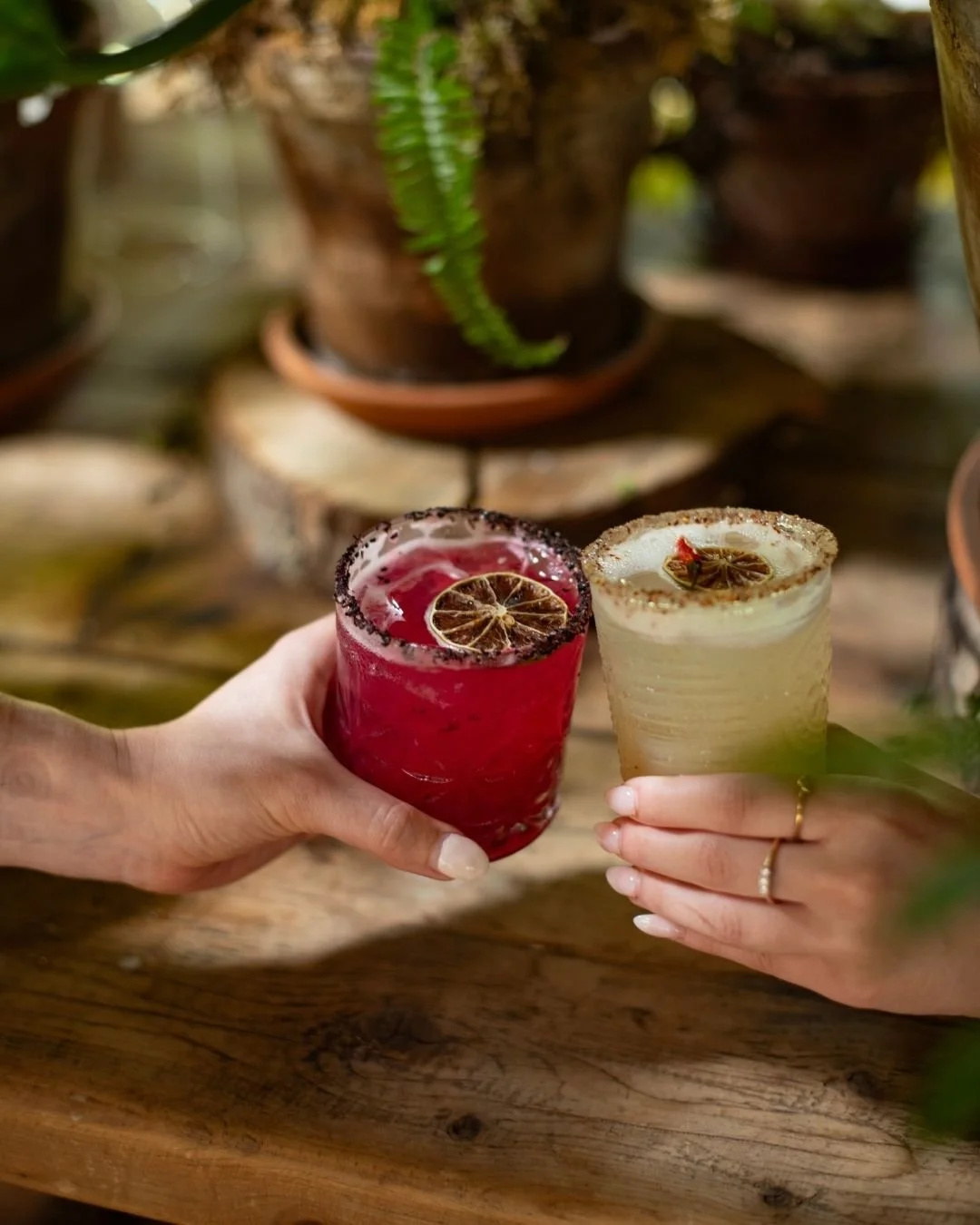 Two cocktails, one red and one light yellow, each garnished with a slice of dried lime, are being held by two hands in a rustic setting with potted plants and a wooden table.