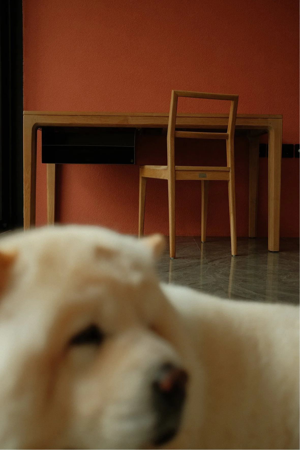 TINO9712 1.jpg