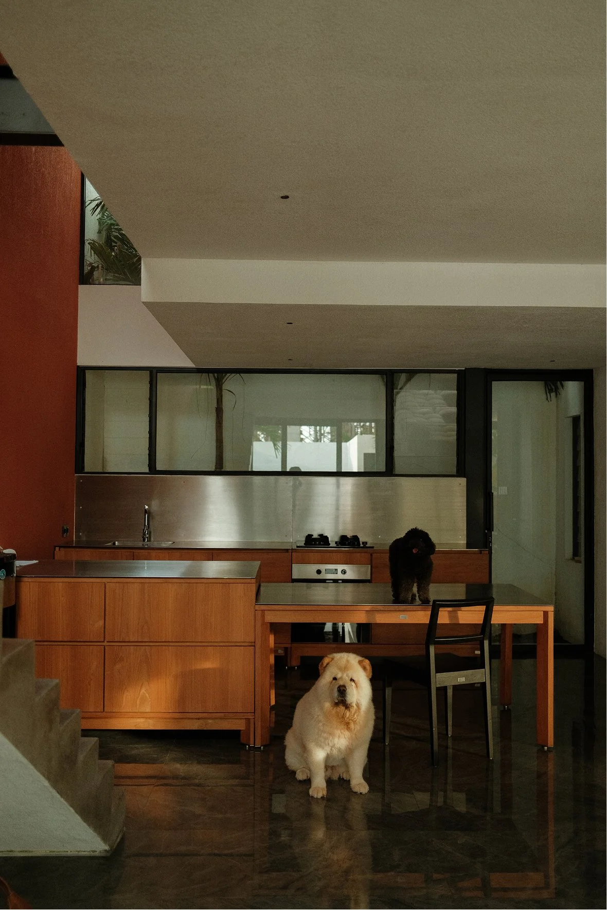 TINO9686 1.jpg