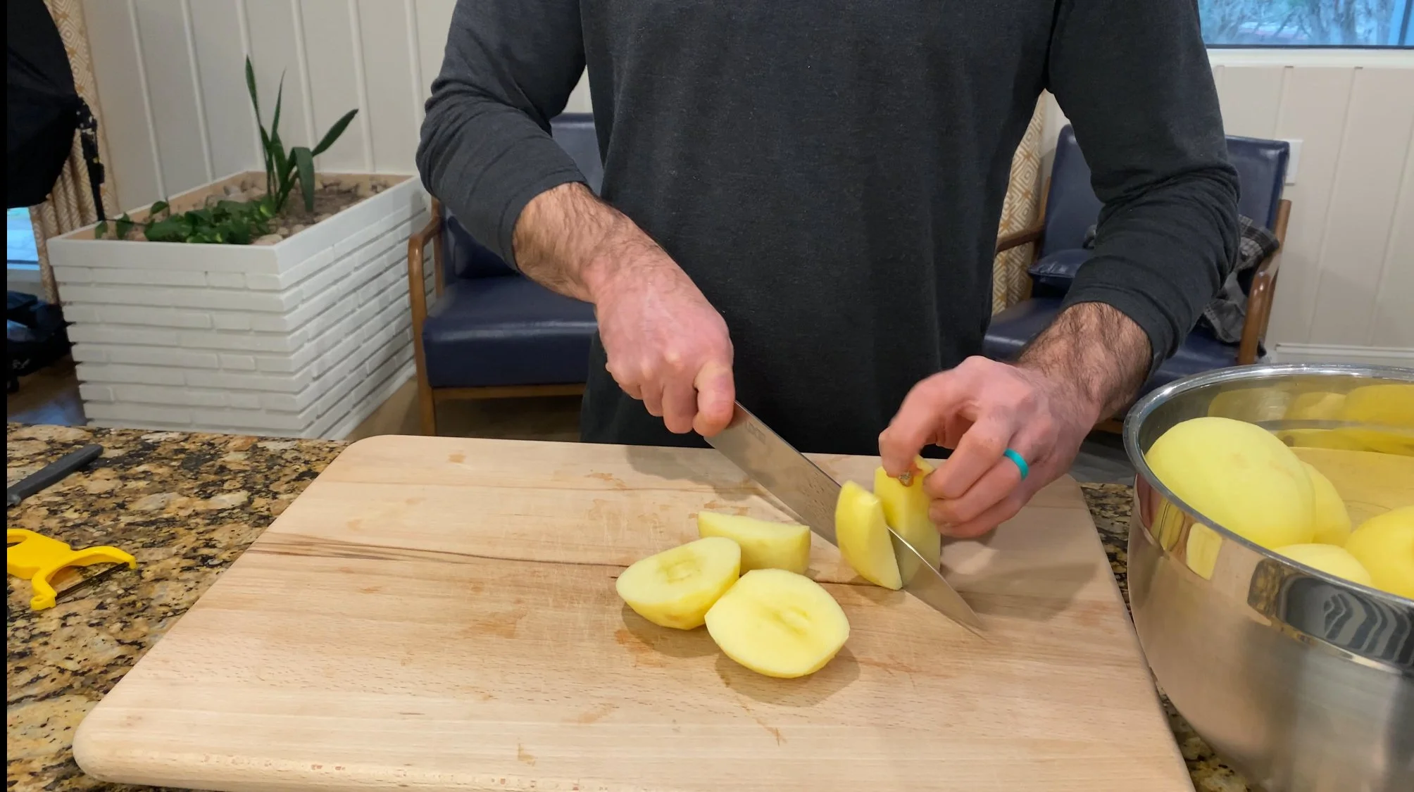 apples off core.jpeg