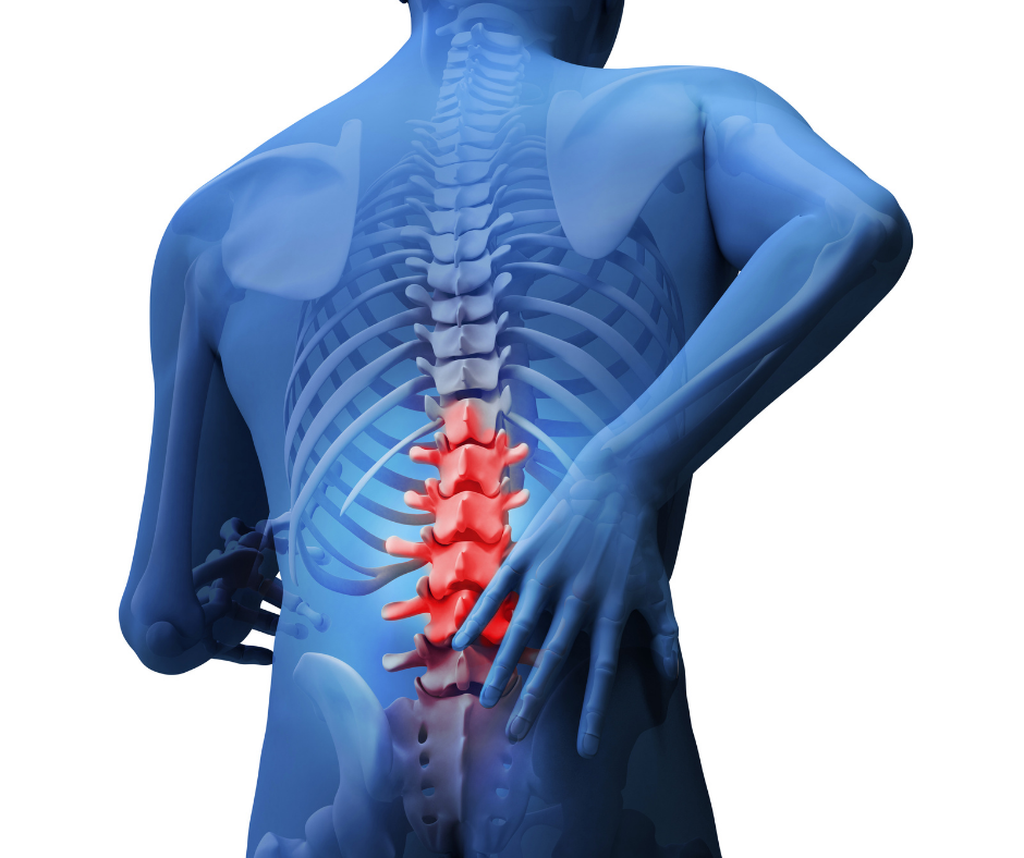 Ways to Relieve Back Pain While Driving  OLSS Orthopedic and Laser Spine  Surgery