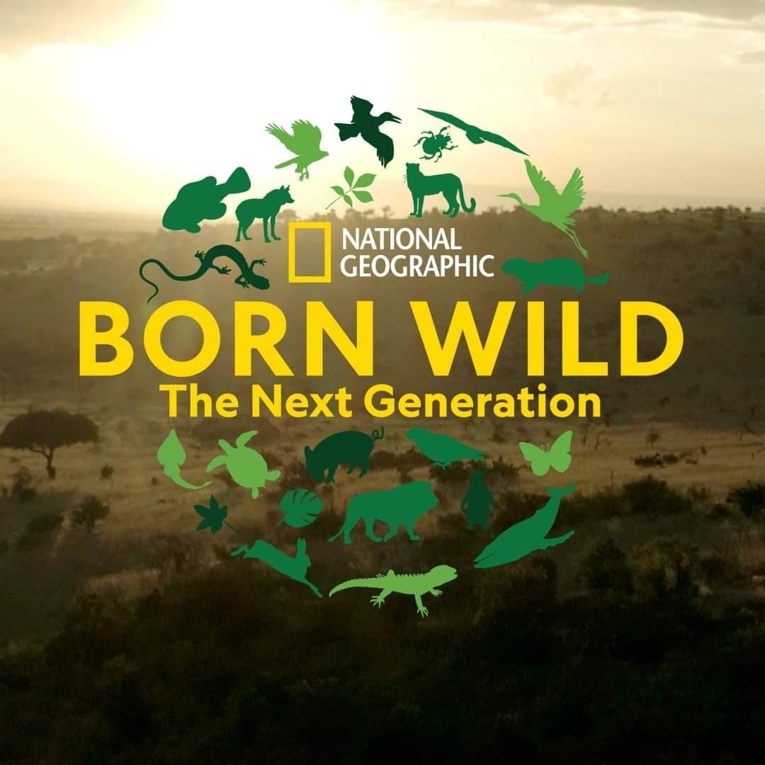 Born Wild: The Next Generation