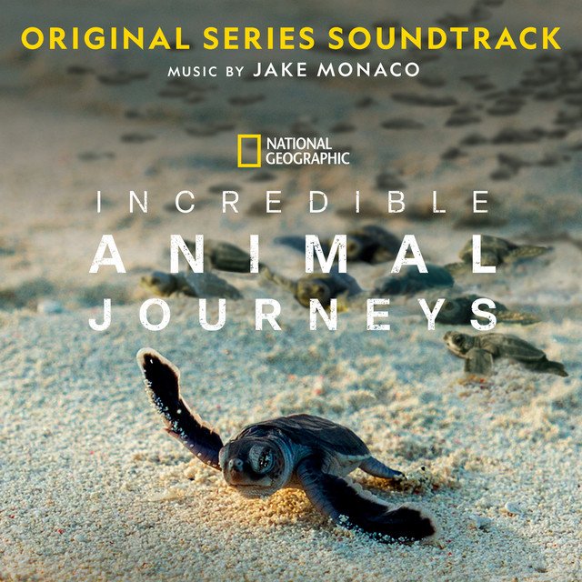 Incredible Animal Journeys OST.jpeg