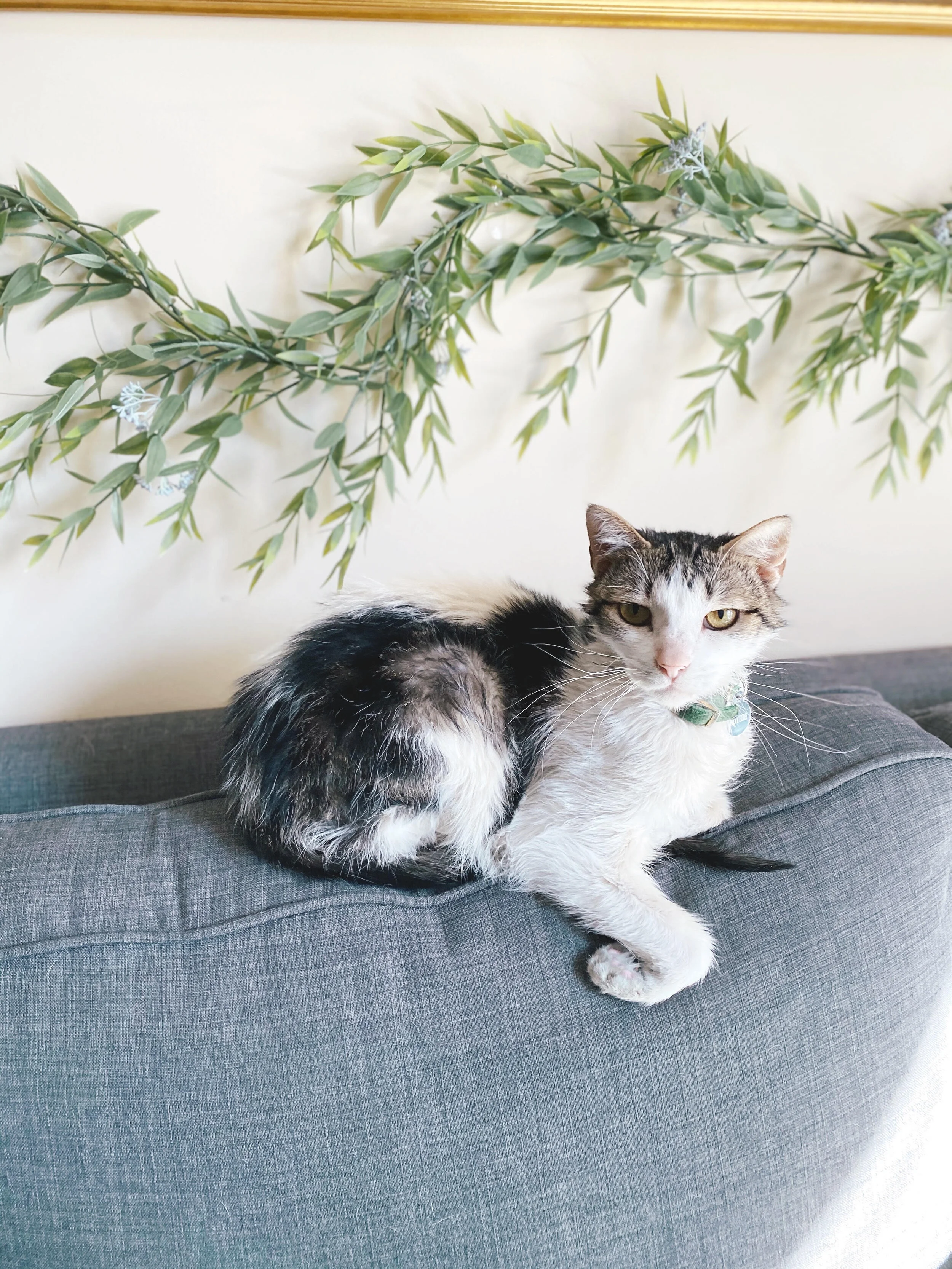 Ruthie.