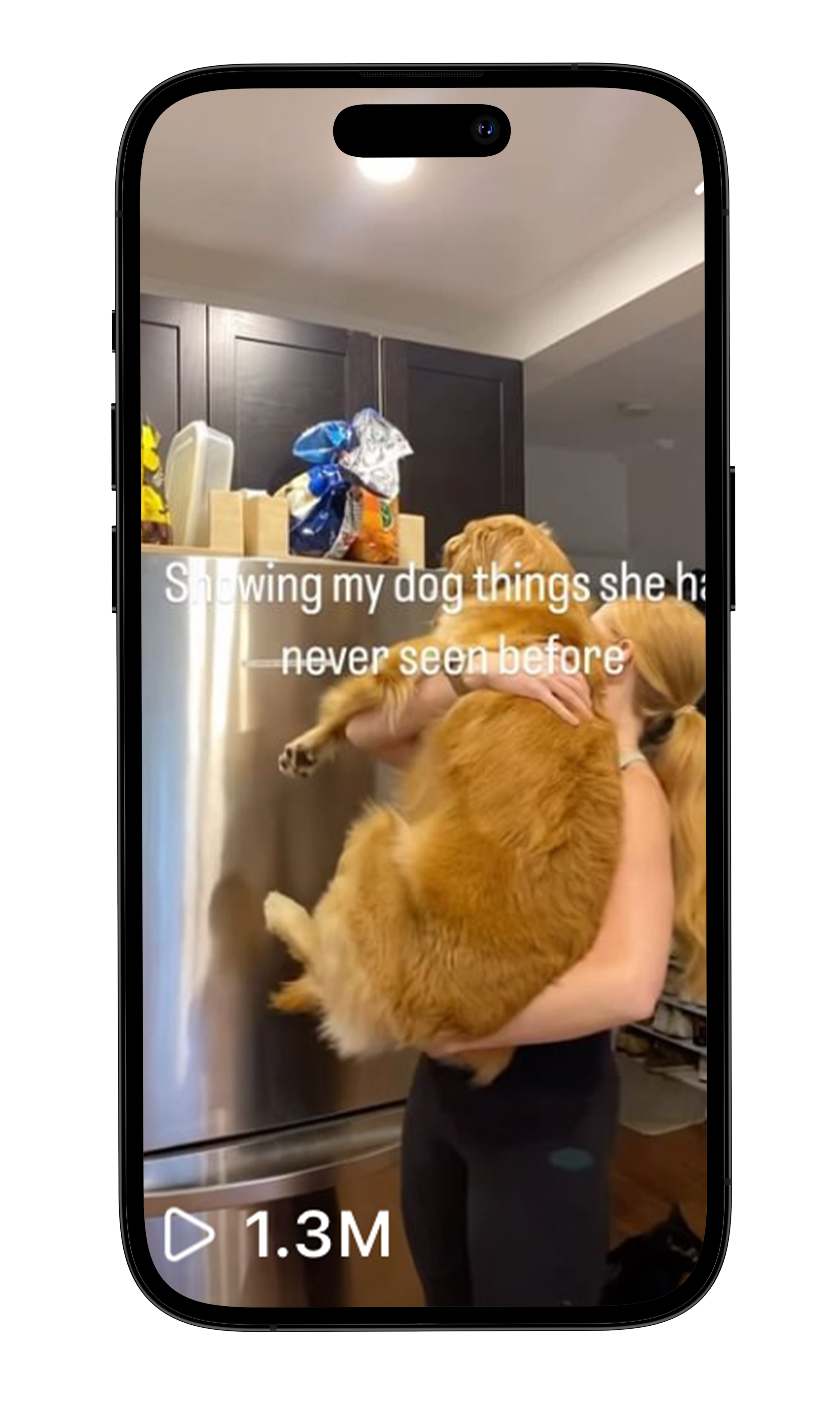 Viral Trend Video for Client