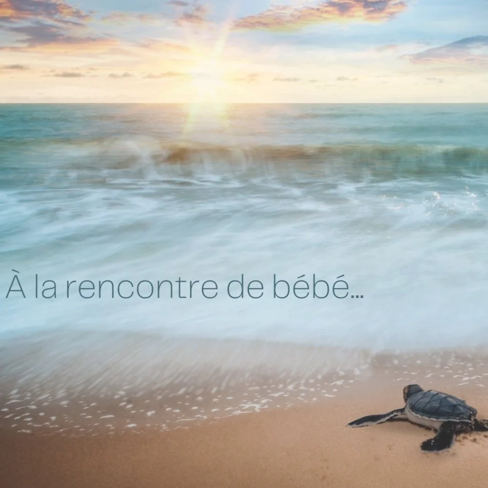 A%2525CC%252580%252Bla%252Brencontre%252Bde%252Bbb%252B-%252Bvisualisation.jpg