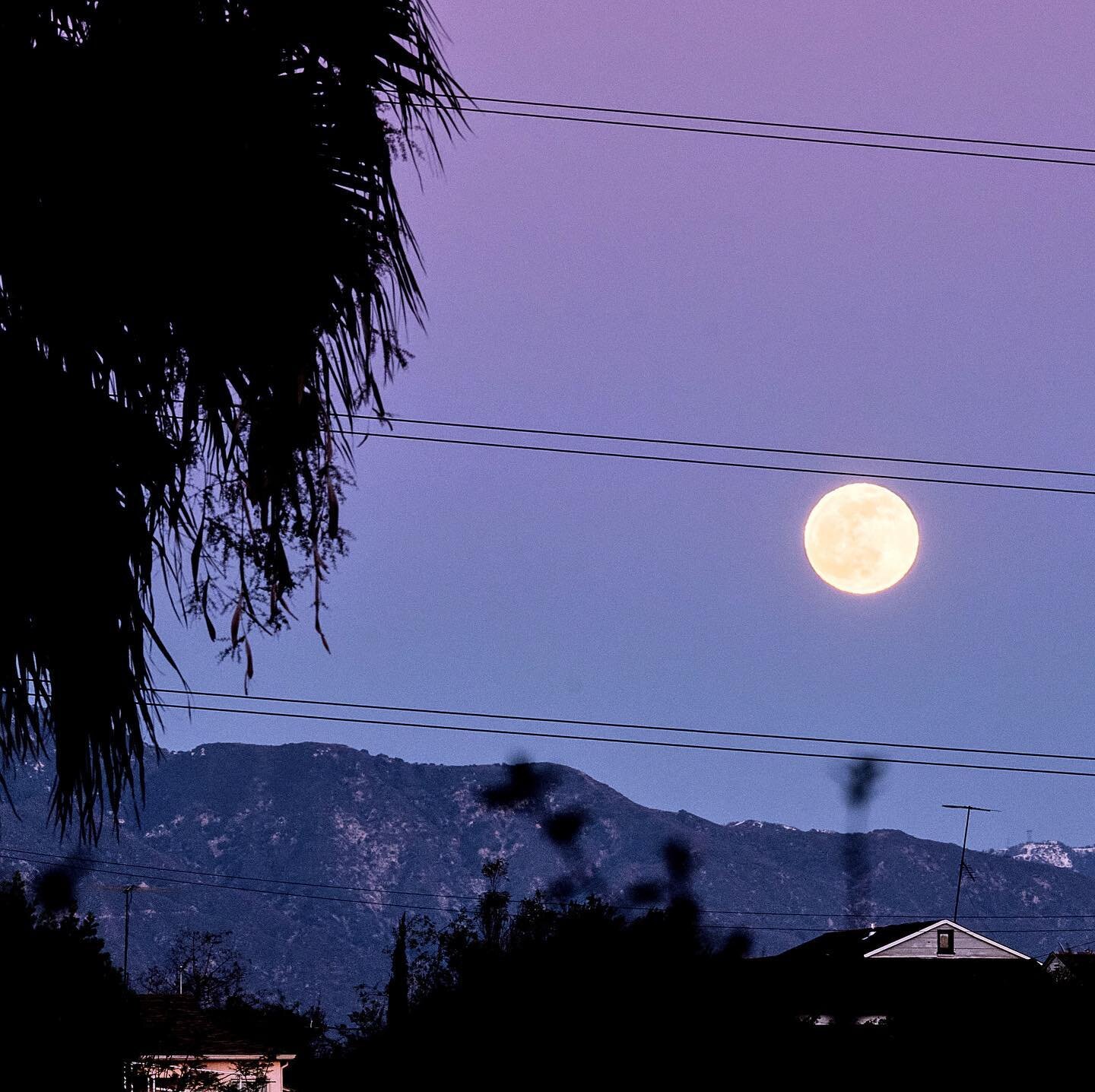 LA after a shower