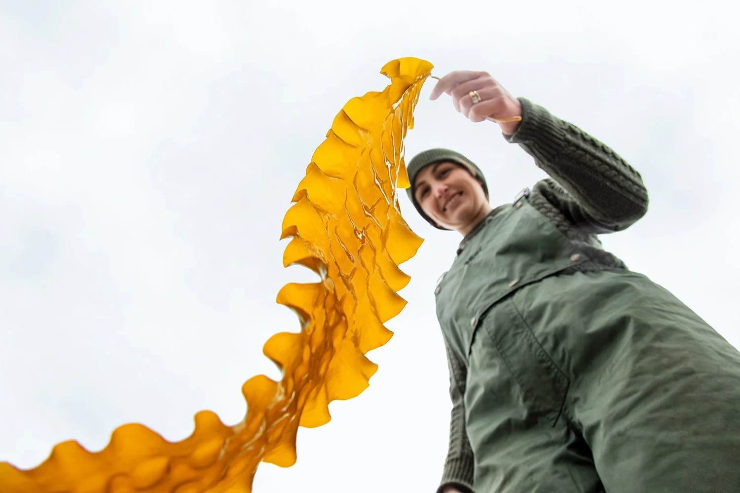 America's Leading Seaweed Farmer Secures Funding for Expansion