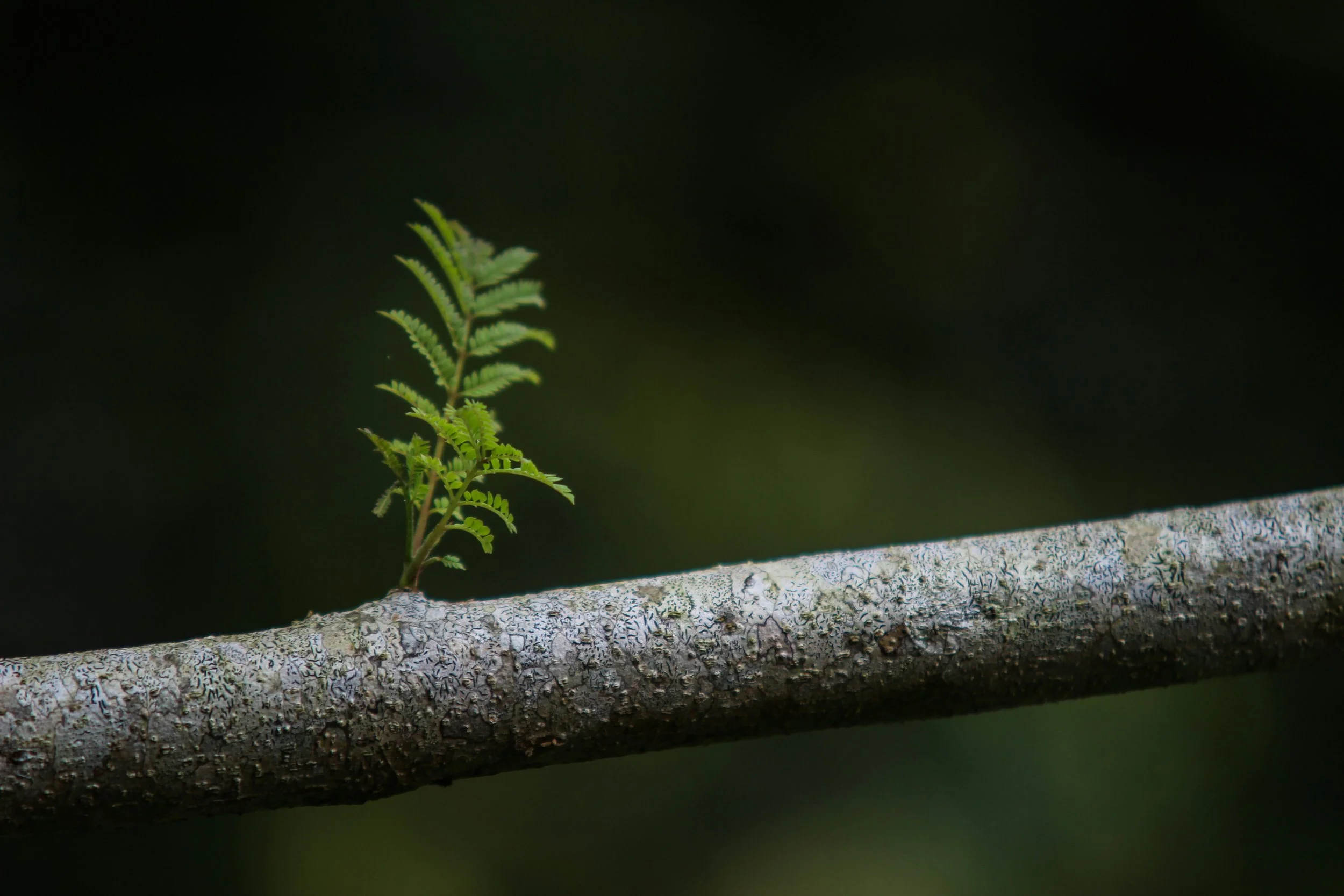 What Nine Years of Strength Coaching Taught Me About Age Beliefs