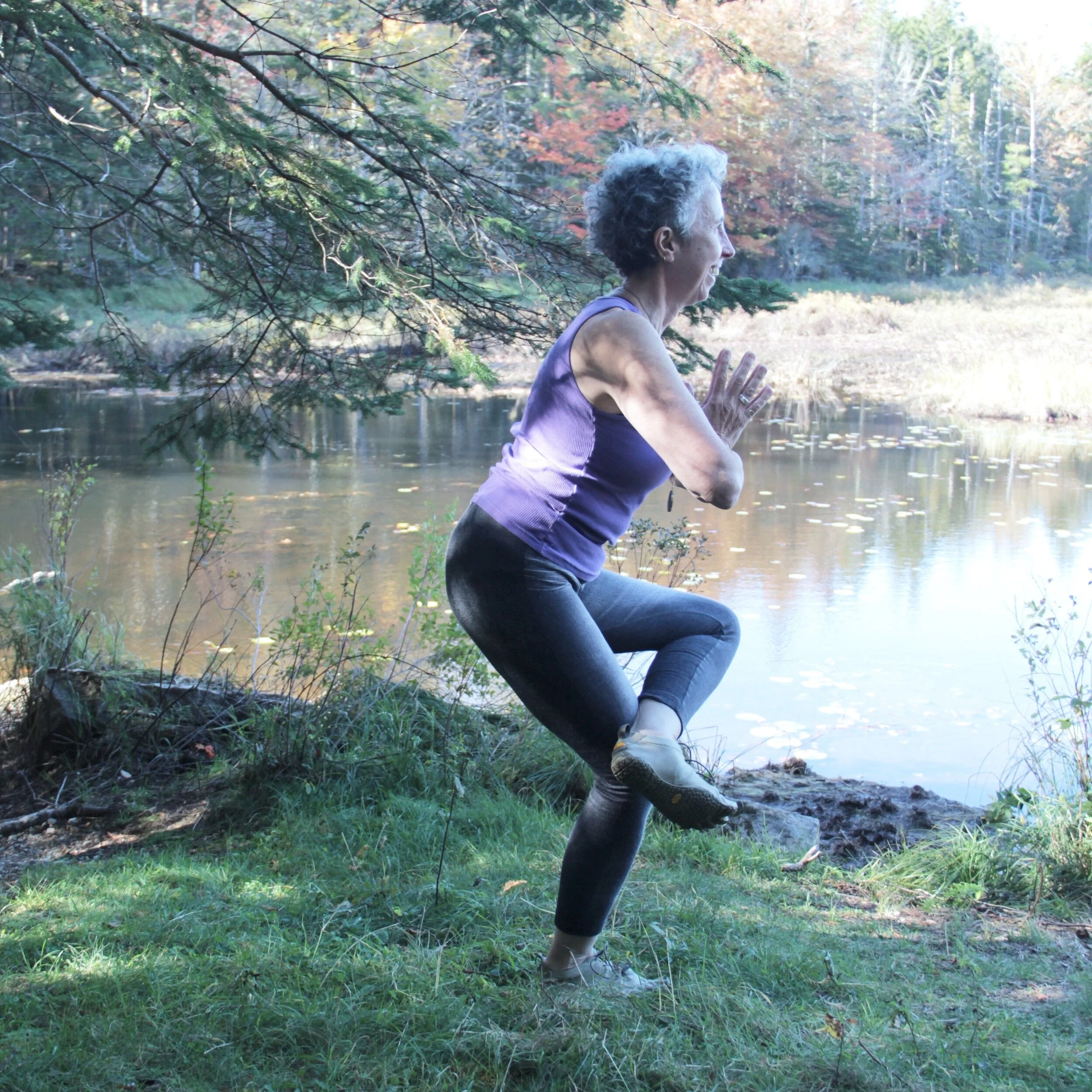 Mighty Fit Online Personal Training