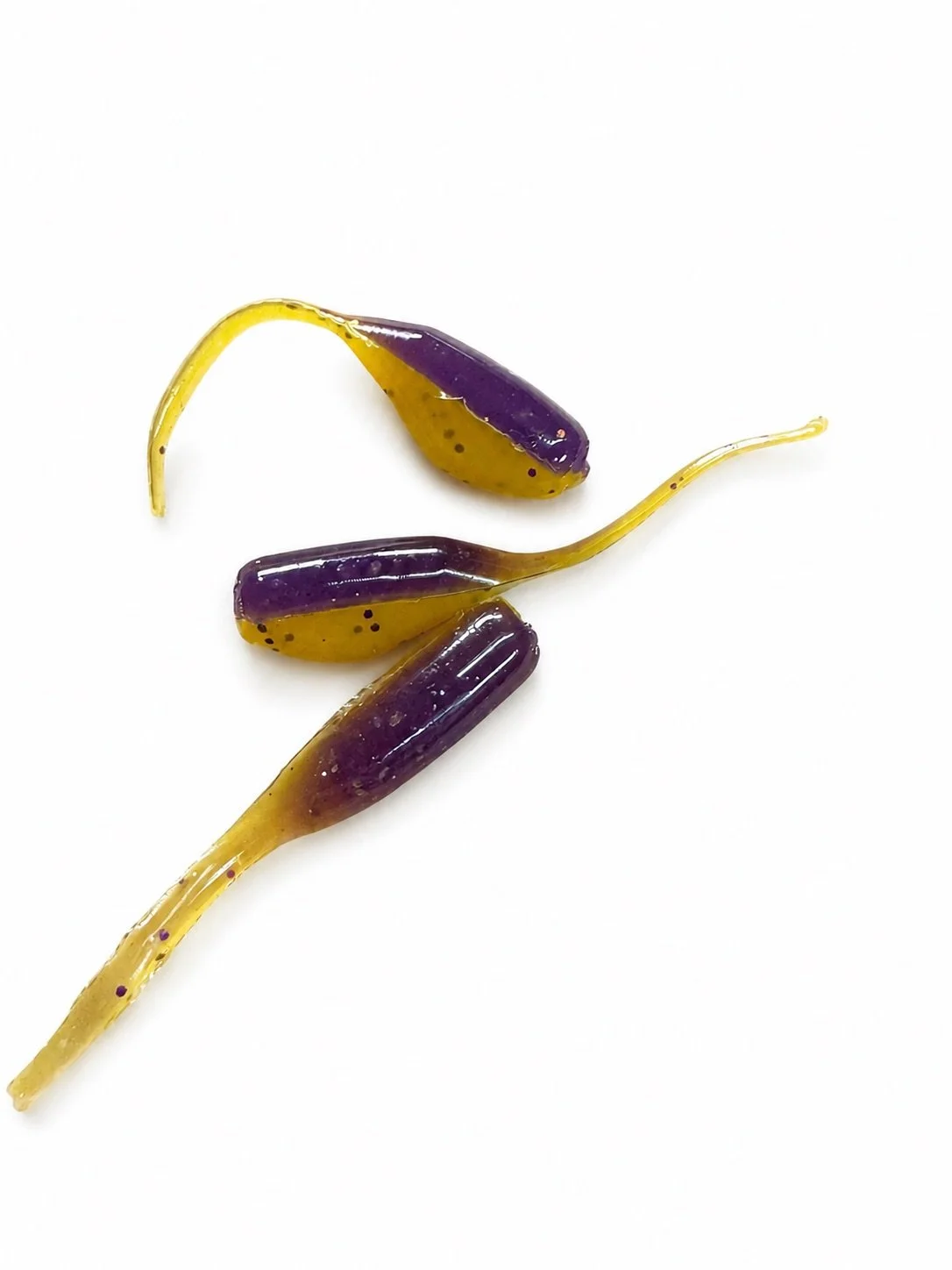 Tadpole (10 pack)