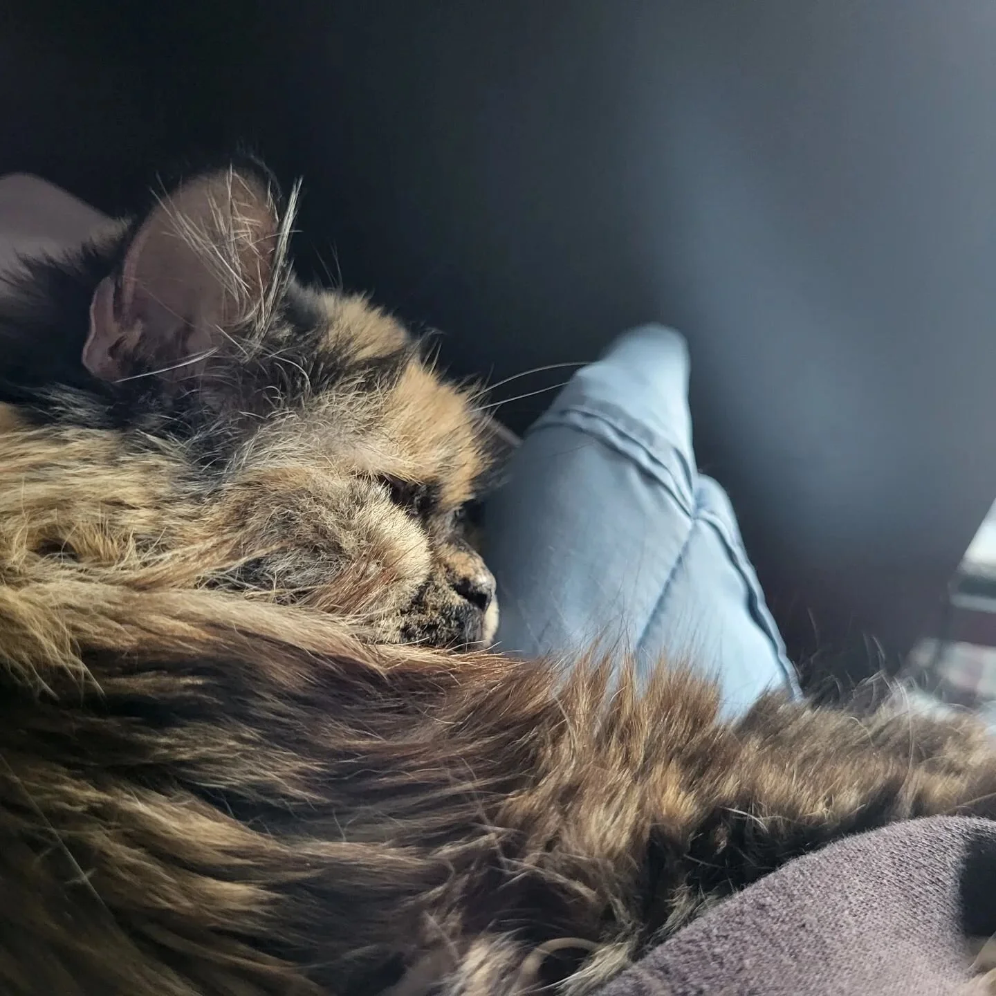 Just a wee reminder, to myself and anyone who needs to read it, celebrate that which heals you. Whatever it is. I should include a pile of different moments and lovely folks in this group of photos, but I haven't taken many photos lately. It's just b