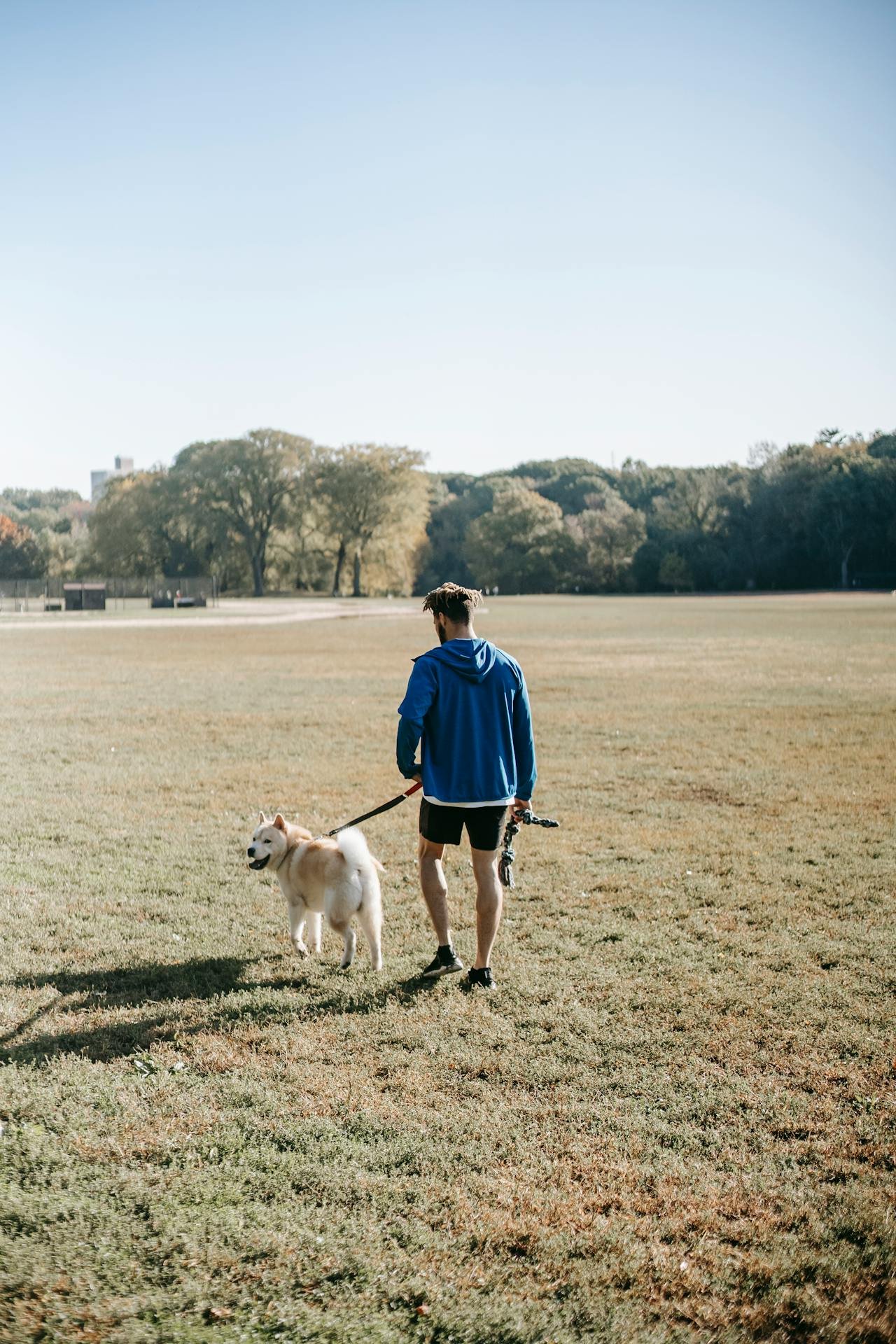 Man and dog in park