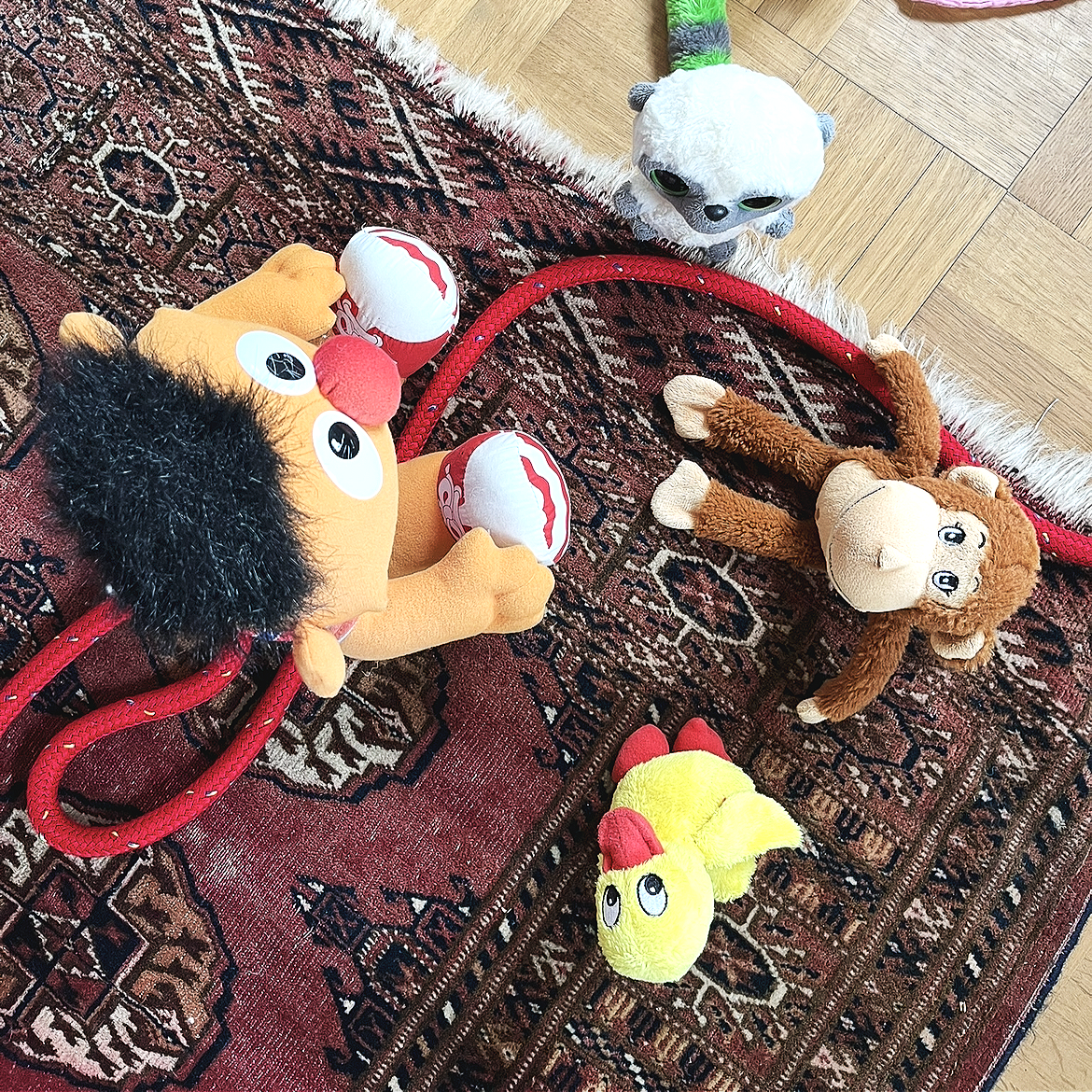 Viele Plüschtiere sitzen auf einem Teppich mit orientalischem Muster, darunter Elmo, ein Löwe, eine Schildkröte, eine Giraffe und ein weißer Plüschaffe.