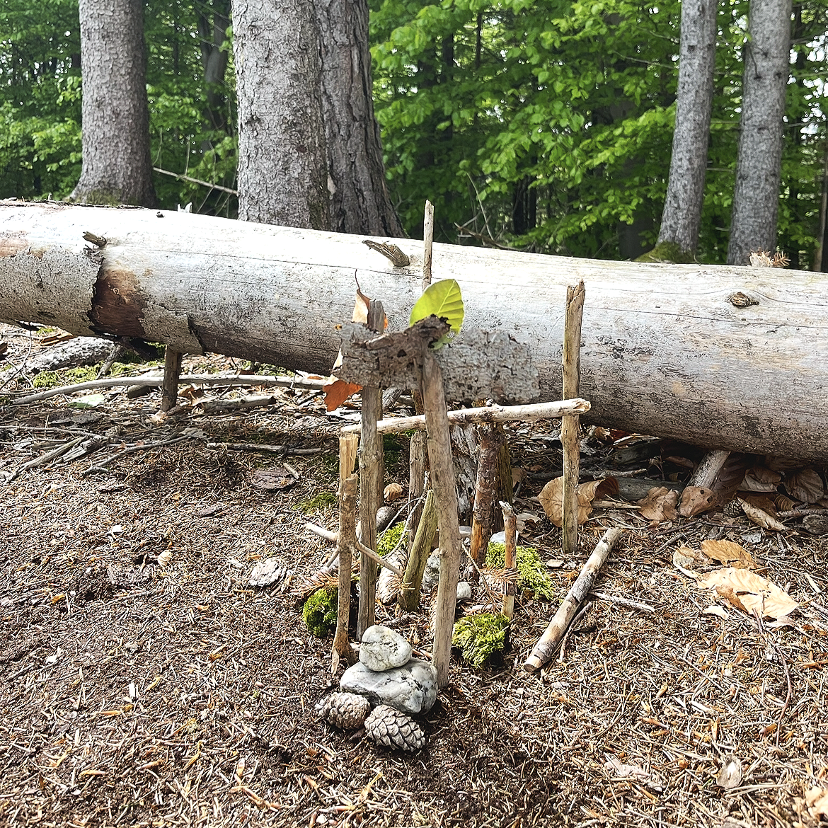 Ein kleines selbstgebautes Bauwerk aus kleinen Ästen und Steinen im Wald. Im Hintergrund liegen Baumstämme.