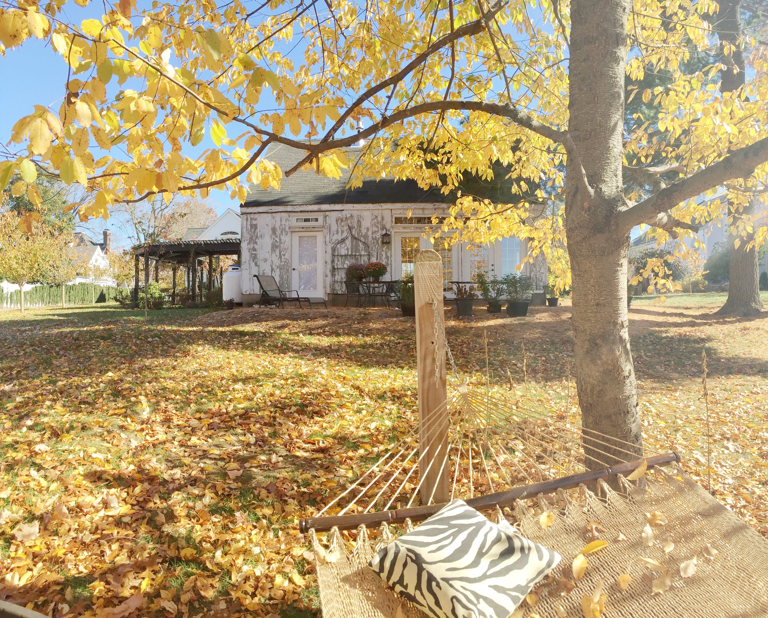 gallery2-1.jpg