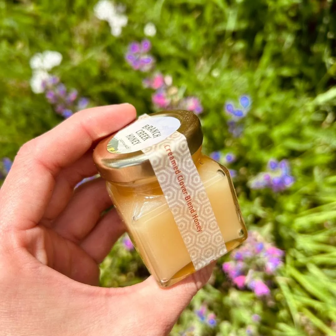 Sweeten your special day with our 70g jars — the perfect little gift or wedding favour! 🍯💛
Local raw honey — a taste of Cardrona, lovingly packed in our signature square glass jars. These bite-sized beauties are a thoughtful way to say