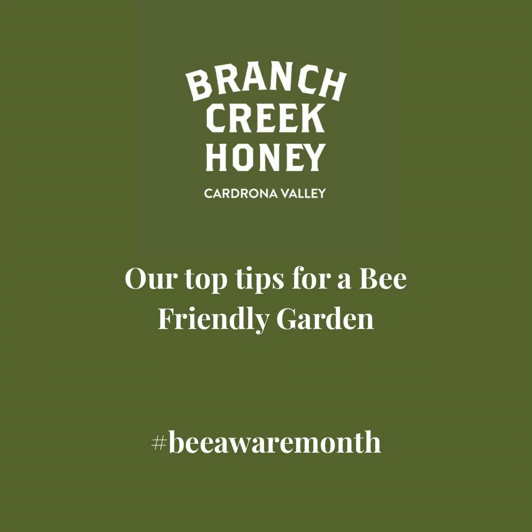 It’s Bee Aware Month - and also the perfect time to start planting your own Bee Friendly Garden. We’re no experts but here’s our top tips 🌱 🐝 
❄️ Plant for all seasons
Bees struggle to find food in late autumn through to early sp