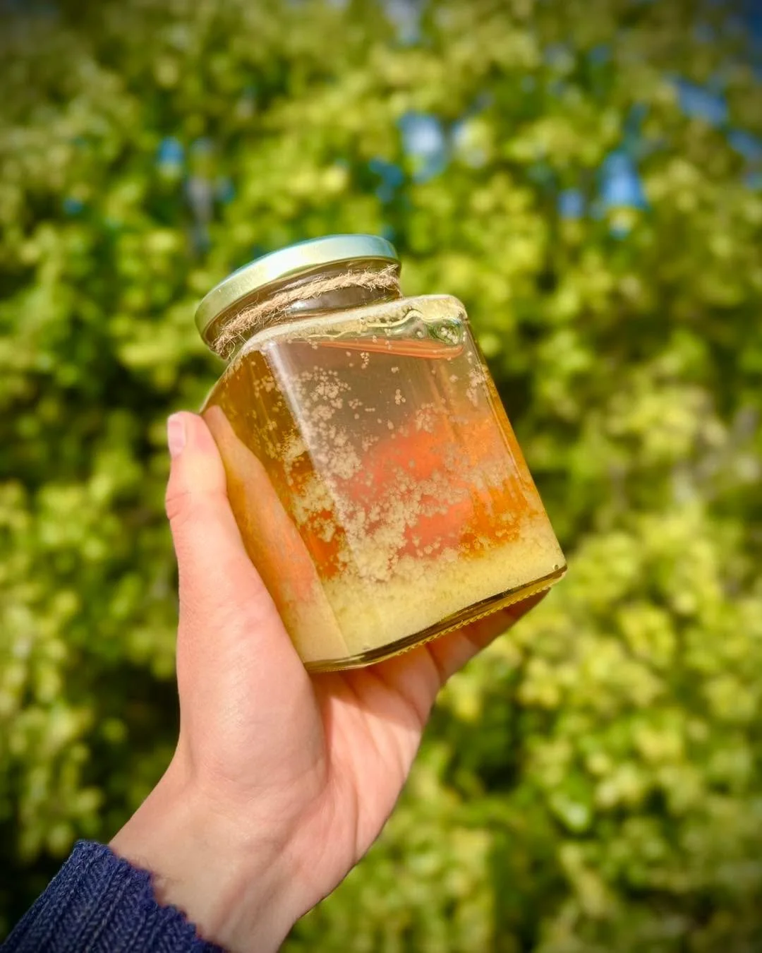 Why does raw honey crystallise? 🍯 Has it gone off? 😳 
Find out in our latest blog post 👉 www.branchcreekhoney.co.nz/news/why-does-honey-crystallise 
And then shop our raw honey 🍯 www.branchcreekhoney.co.nz/shop/raw-honey
You can also come chat