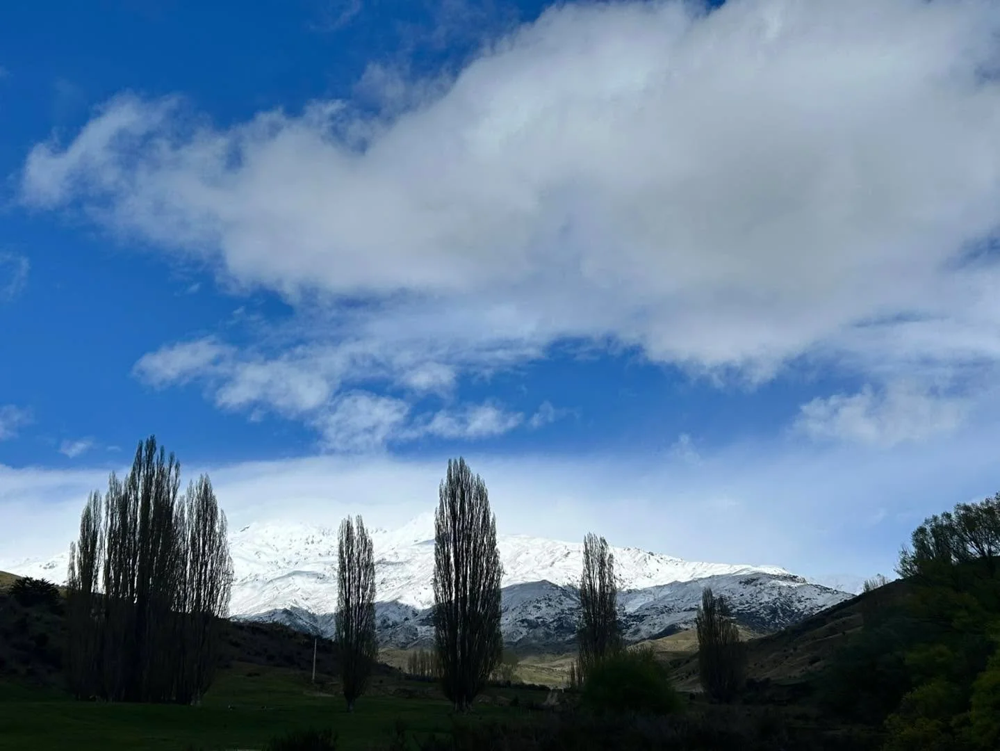 Looks like Winter is back! ❄️ ⛷️ 
We’ve been pretty lucky compared to other parts of the country though! Our bees were hunkered down today and overall doing surprisingly well considering the past couple of months have been very wet and windy!