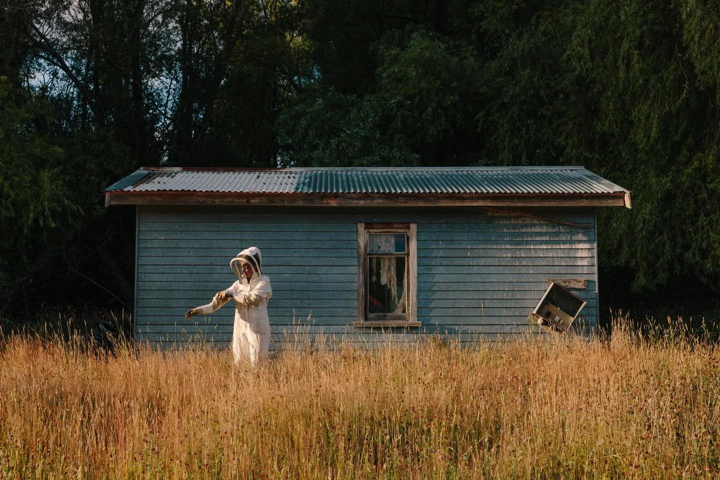 Gloves are off for 2025 👋
Merry Christmas &amp; a Happy New Year from Branch Creek to you 🎄💛

Thank you for all your support this year, it&rsquo;s sure been a goodie! 

The past couple of months have been very busy &amp; we&rsquo;re looking forwar