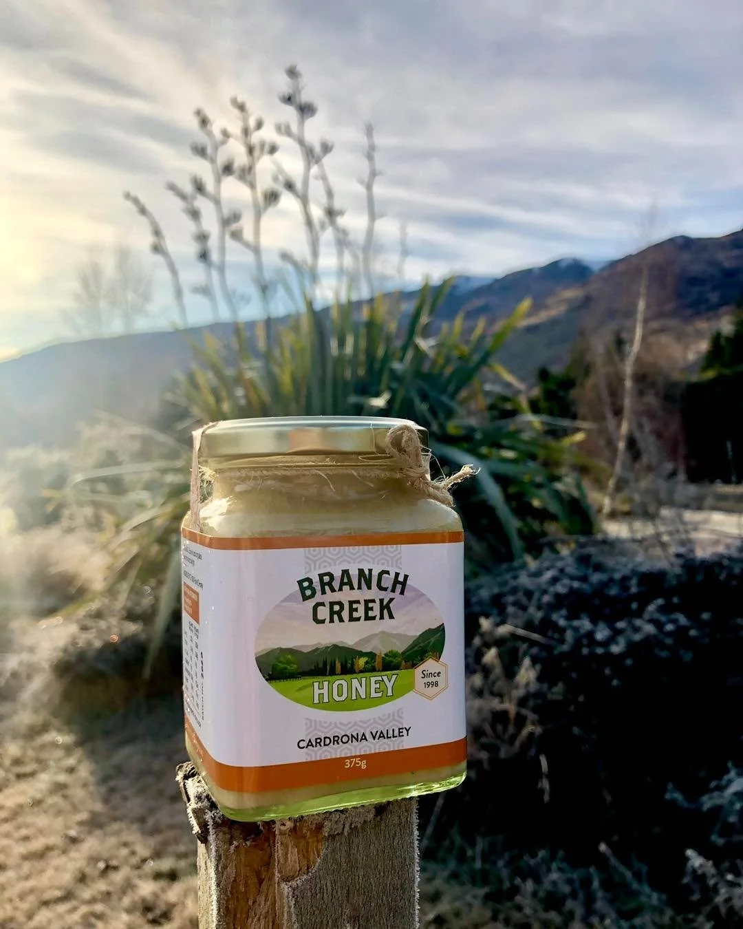 Our Creamed Clover Blend Honey 🍯 

Gold medal winner at the 2024 Outstanding NZ Food Producer Awards 🥇 

✅ Local, single source honey
✅ Carefully creamed to retain all its  natural goodness 
✅ Not heavily filtered - just the bee bits removed 🫣
✅ N