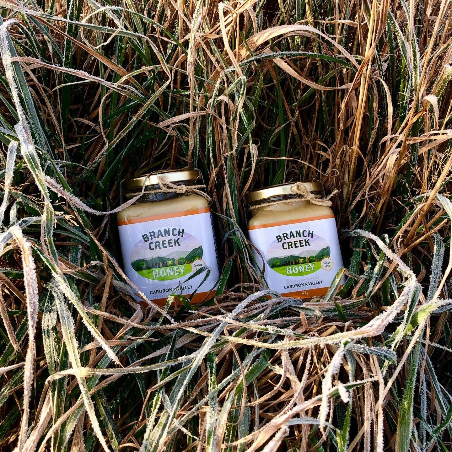 A quick heads up to our lovely customers 🍯

From April 1st, our pricing will be increasing slightly. Over the past couple of years, our operating costs have continued to rise - even before the recent increase in fuel prices &amp; its flow on effects