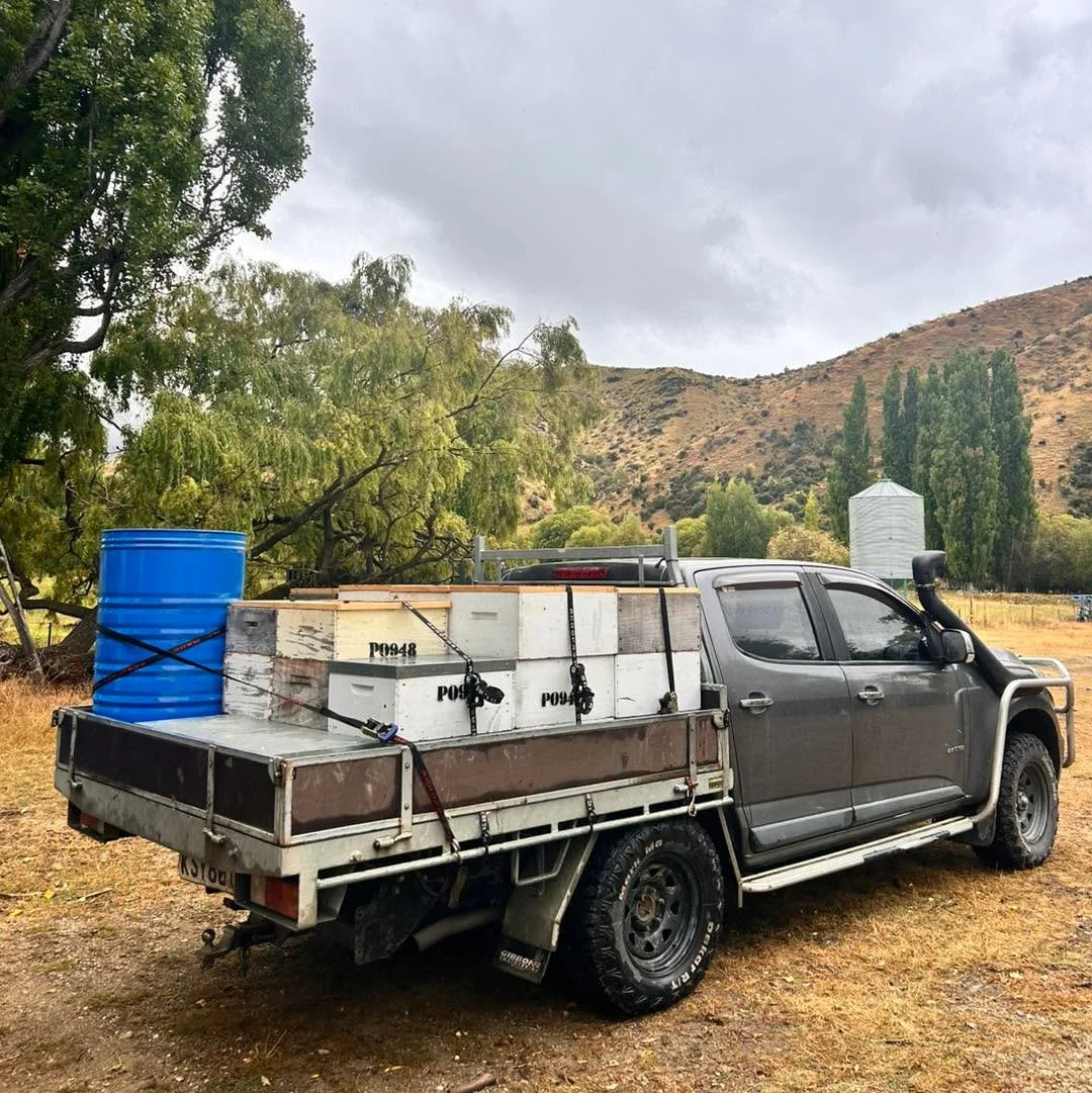 A heavy load of honey supers heading off to extraction! 🍯

Once the bees have finished and sealed the honey with wax, it&rsquo;s time for us to harvest what they can spare. We take our honey to another local beekeeper to have it extracted. 
Each fra