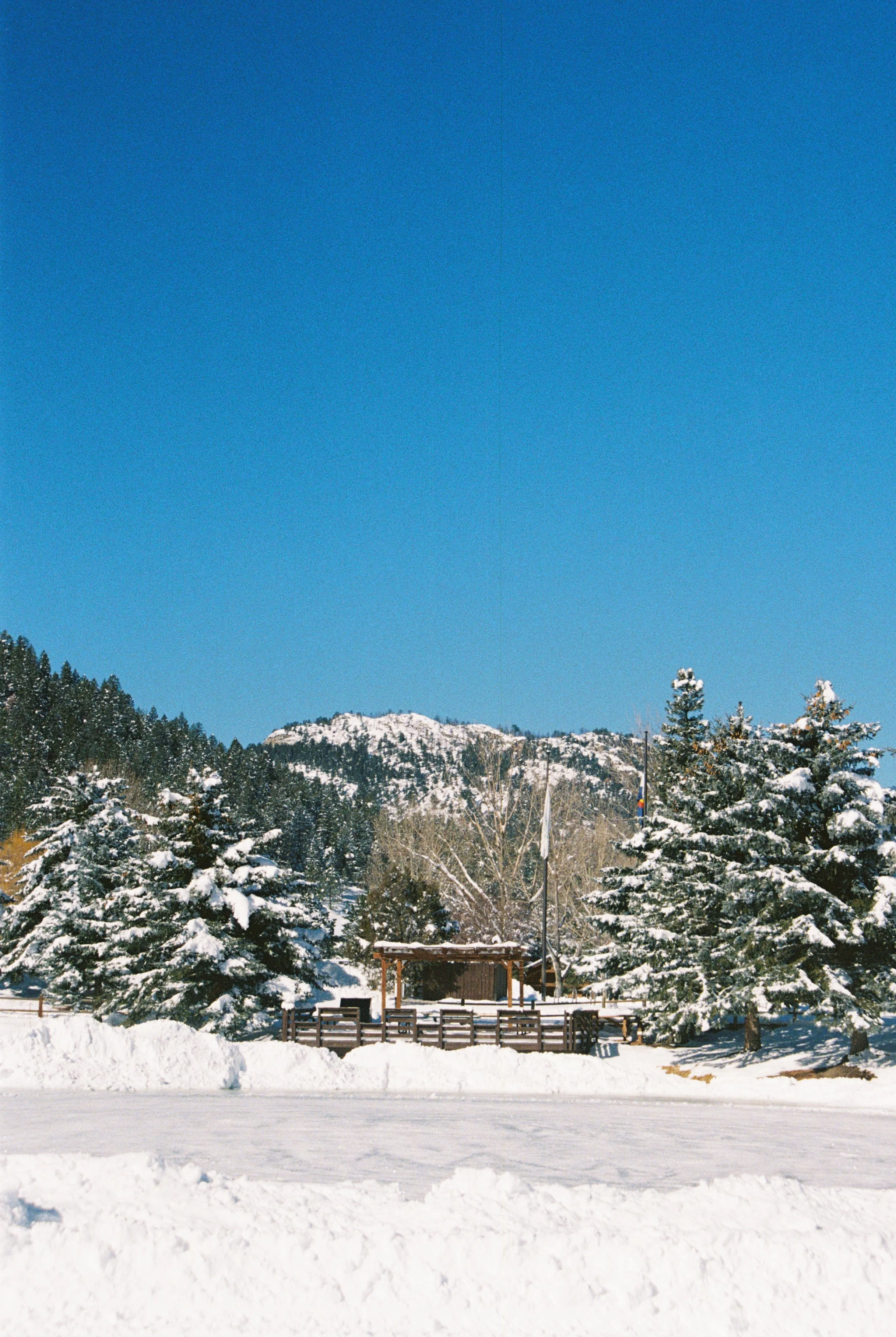 IMG_5864.JPG
