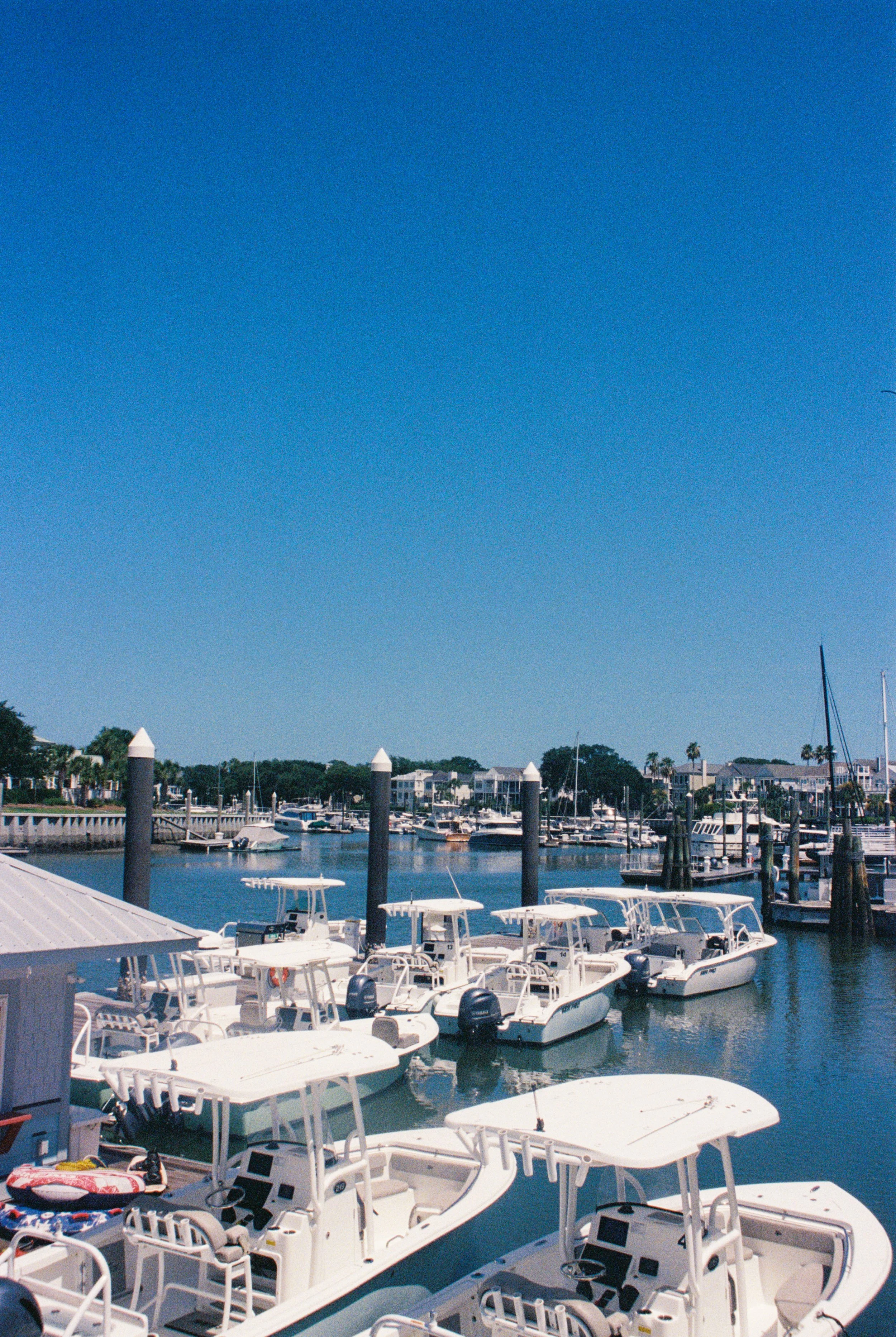 IMG_4923.JPG