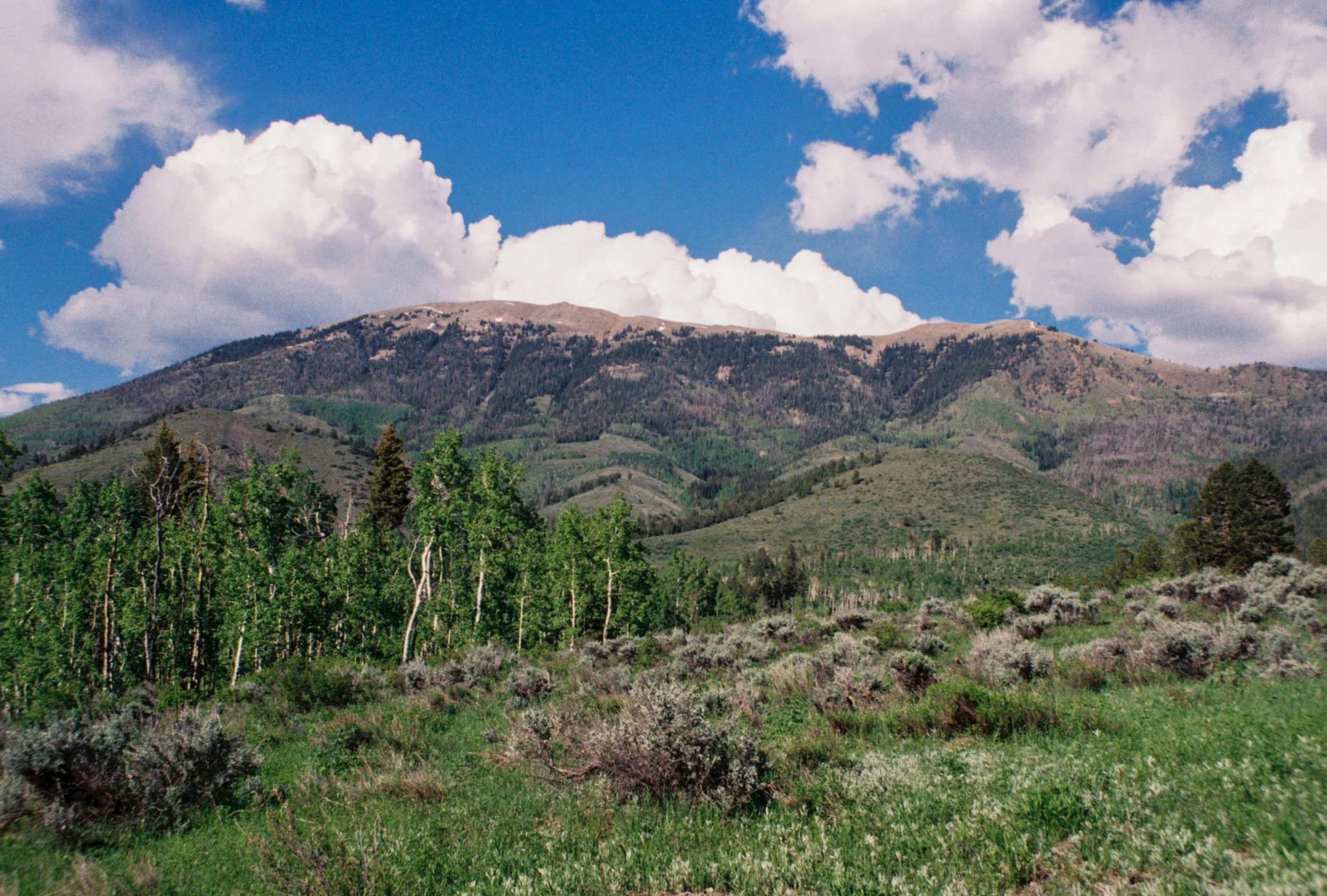 IMG_5664.JPG