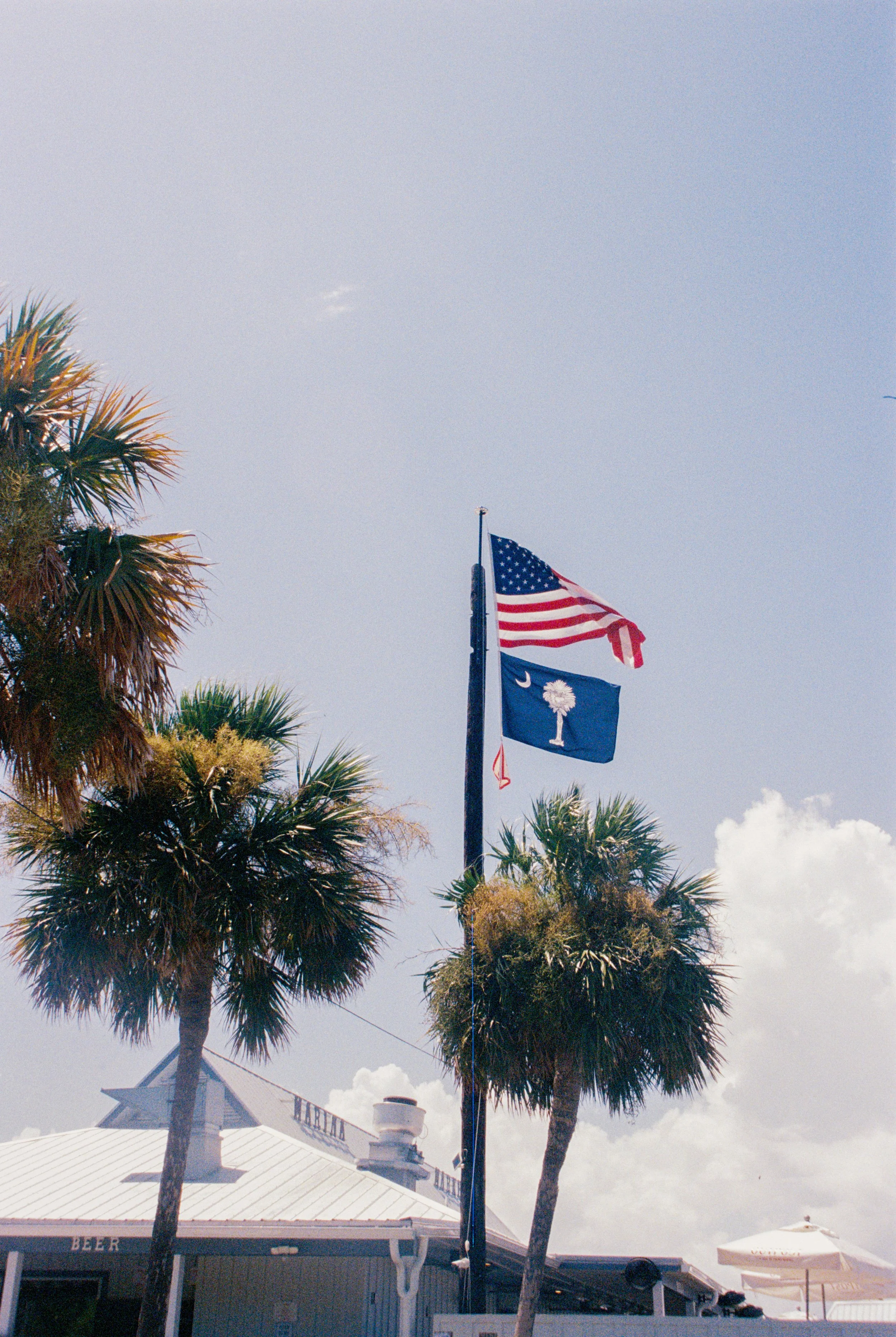 IMG_4925.JPG