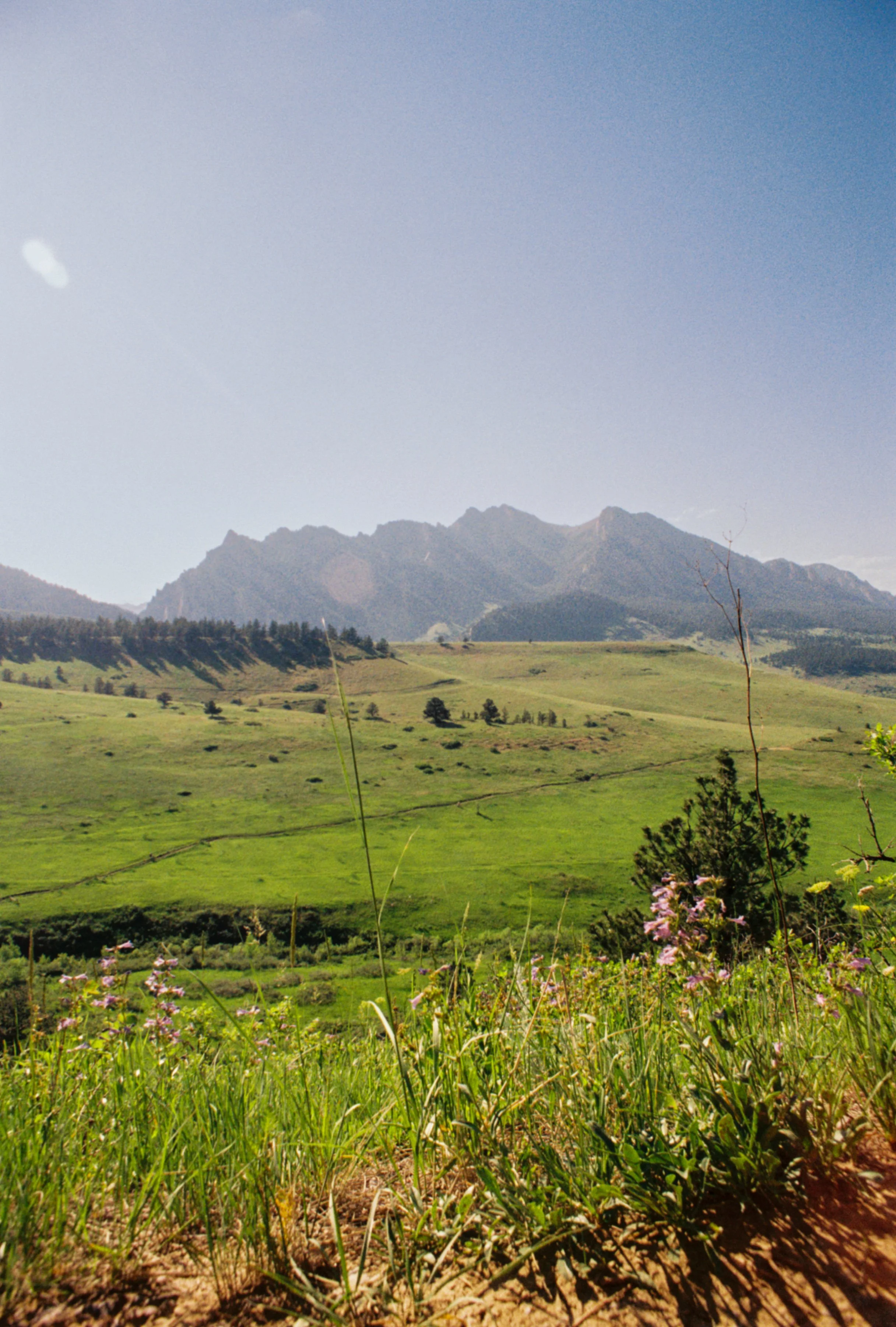 IMG_5679.JPG